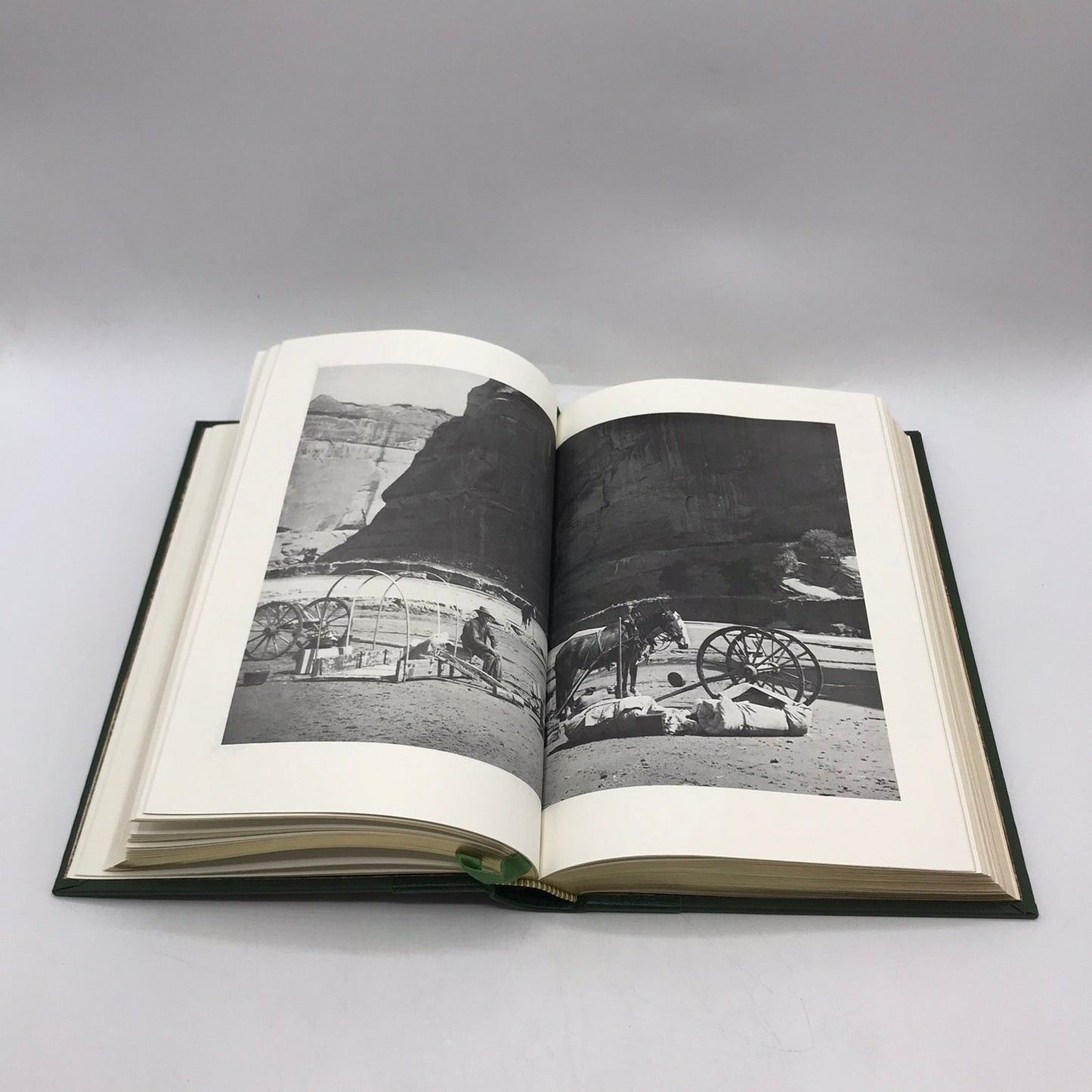 Leaves of Grass Walt Whitman American Identity Classic Nature Poetry Democracy