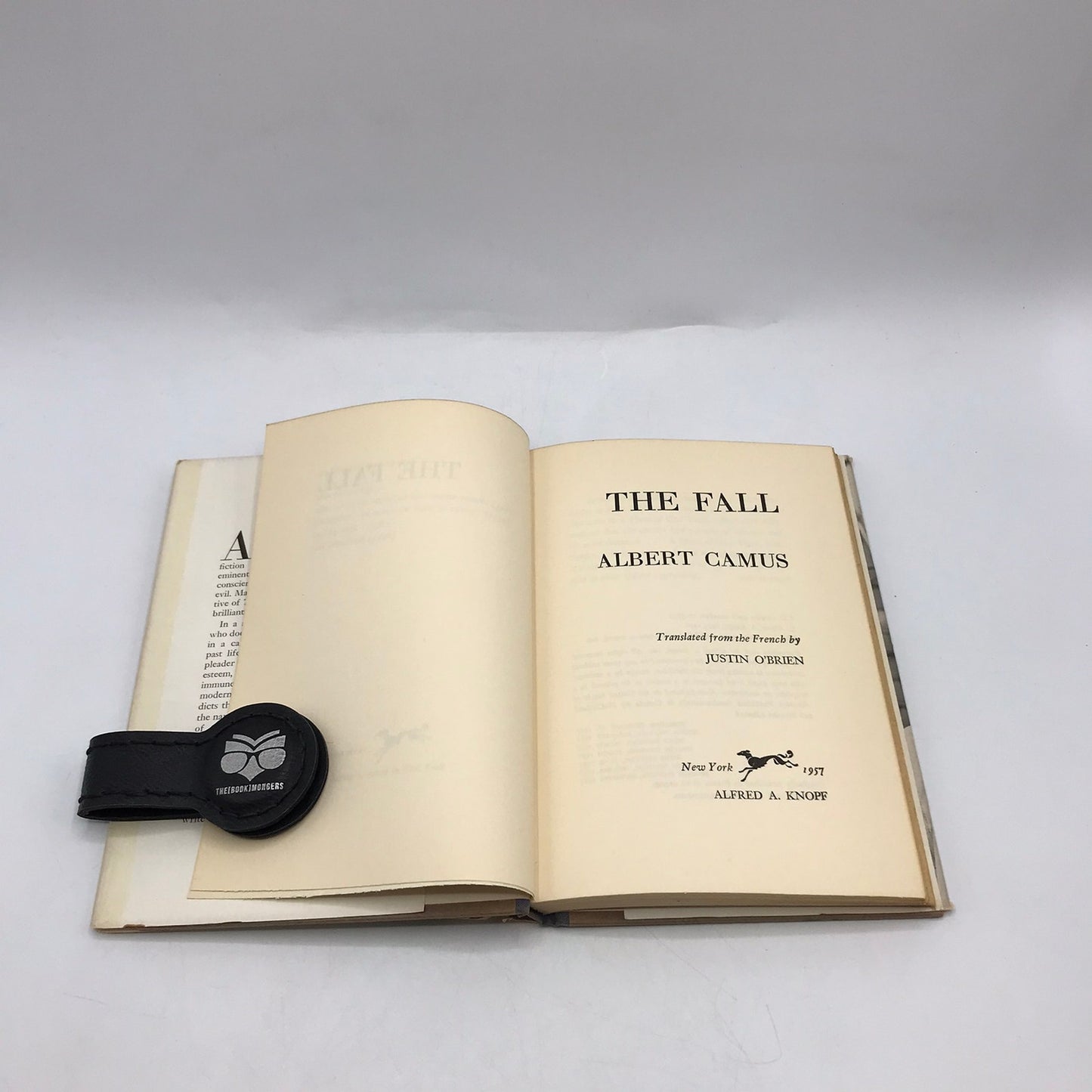 The Fall Albert Camus Human Fallibility Literary Fiction Philosophical Novel