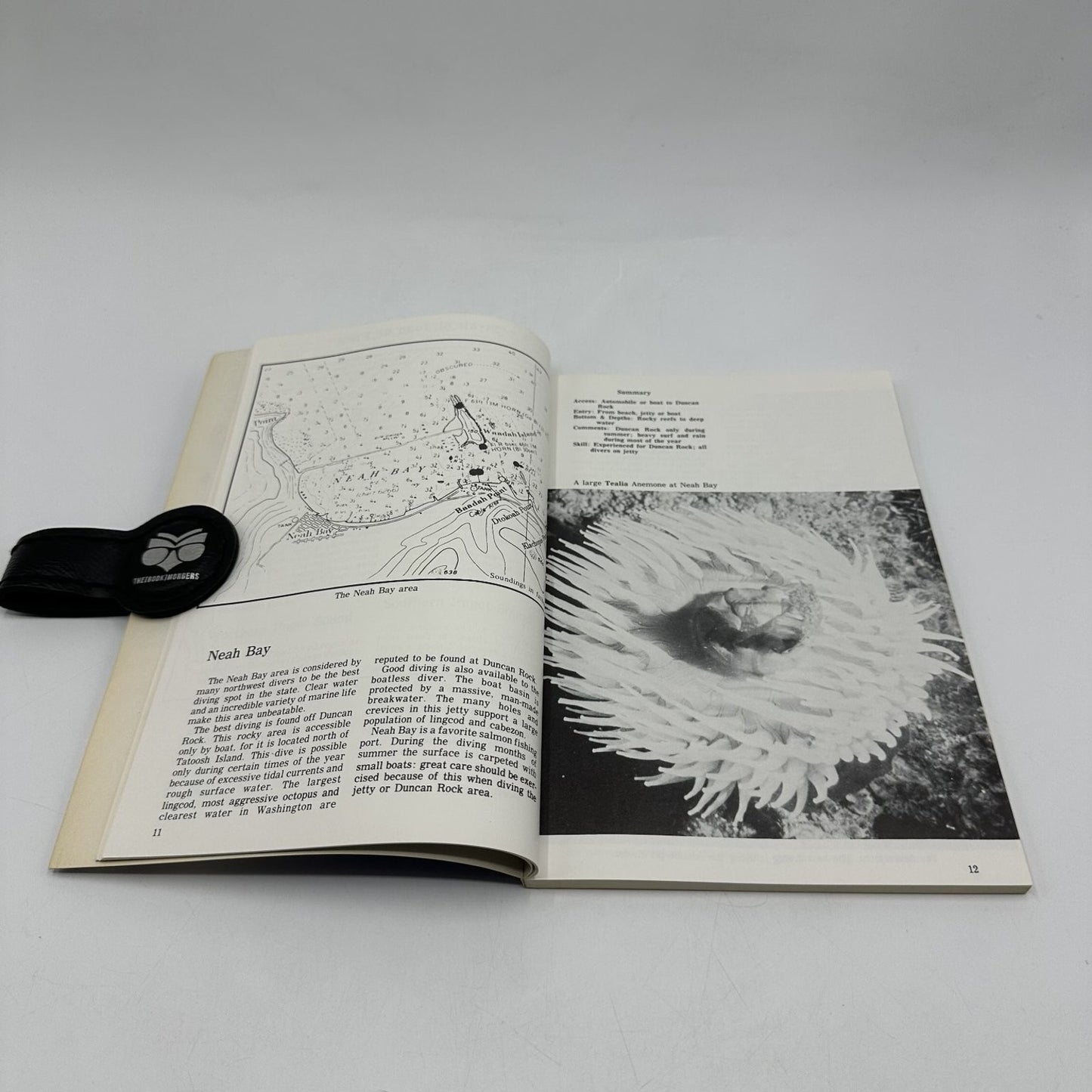 Beneath Puget Sound Peter Ward 1974 Third Printing Northwest Diving Guide