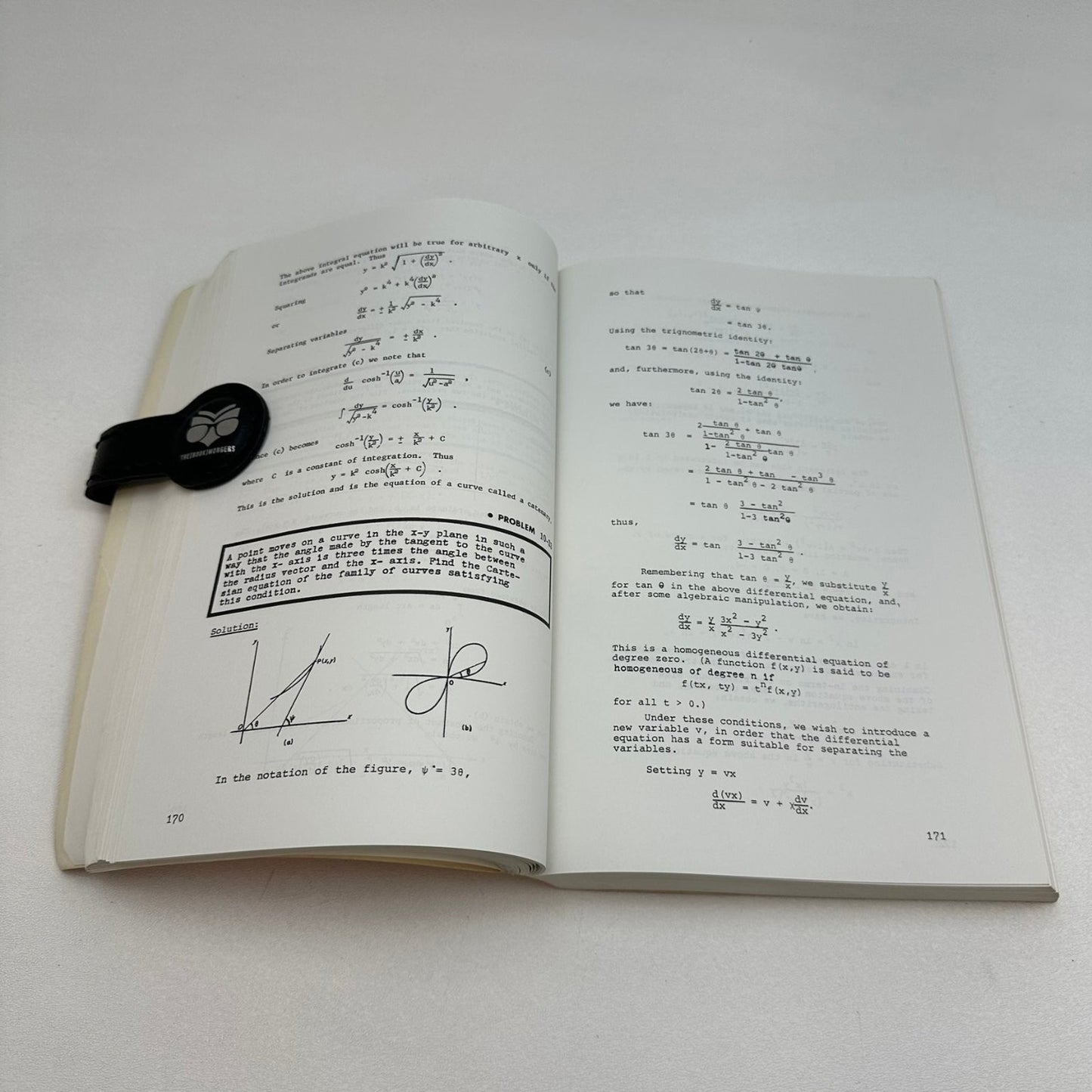 Differential Equations Problem Solver Vol I & II REA 1981 Revised Printing Math