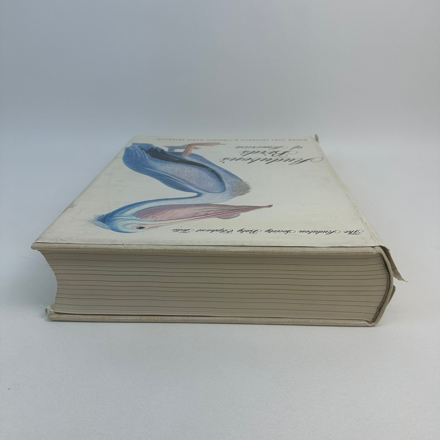 Audobons Birds of America Baby Elephant Folio Roger Tory Virginia Marie Peterson
