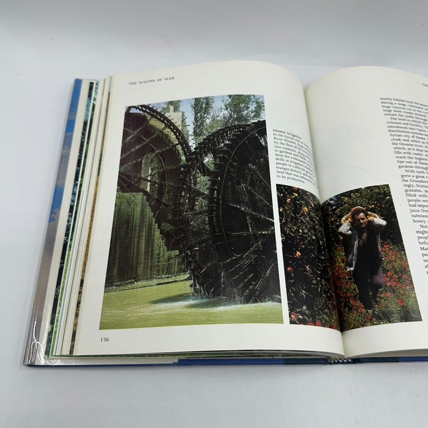 The First Eden David Attenborough 1987 First Edition Mediterranean World Little