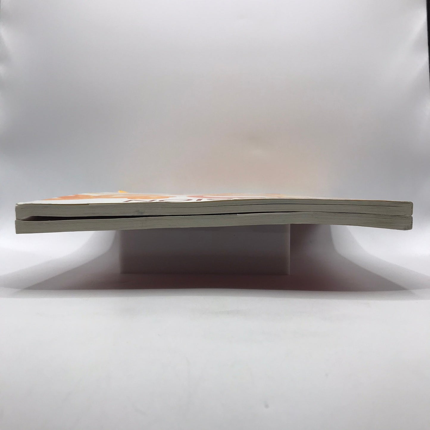 Secession IVAM Sue Williams Art For Institution and Home Catalog Regen Project