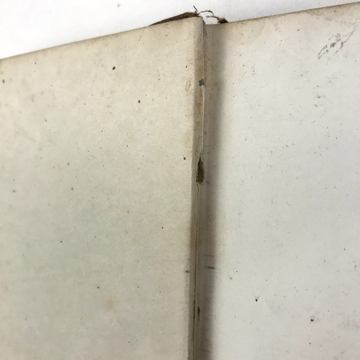 Artemus Ward: His Travels Among the Mormons Illustrated Hardcover Carleton 1865