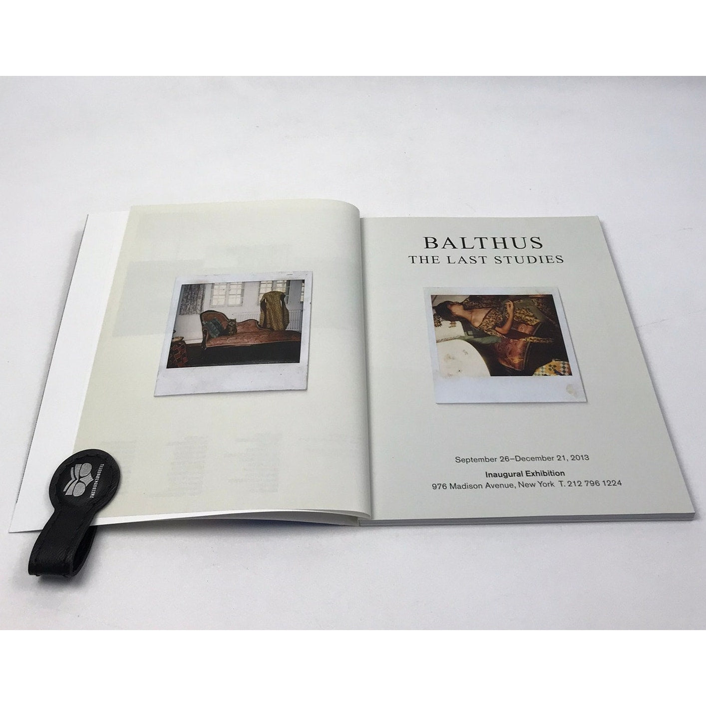 Gagosian Gallery Sept-Oct 2013 Catalog Contemporary Art Exhibition Auction Guide