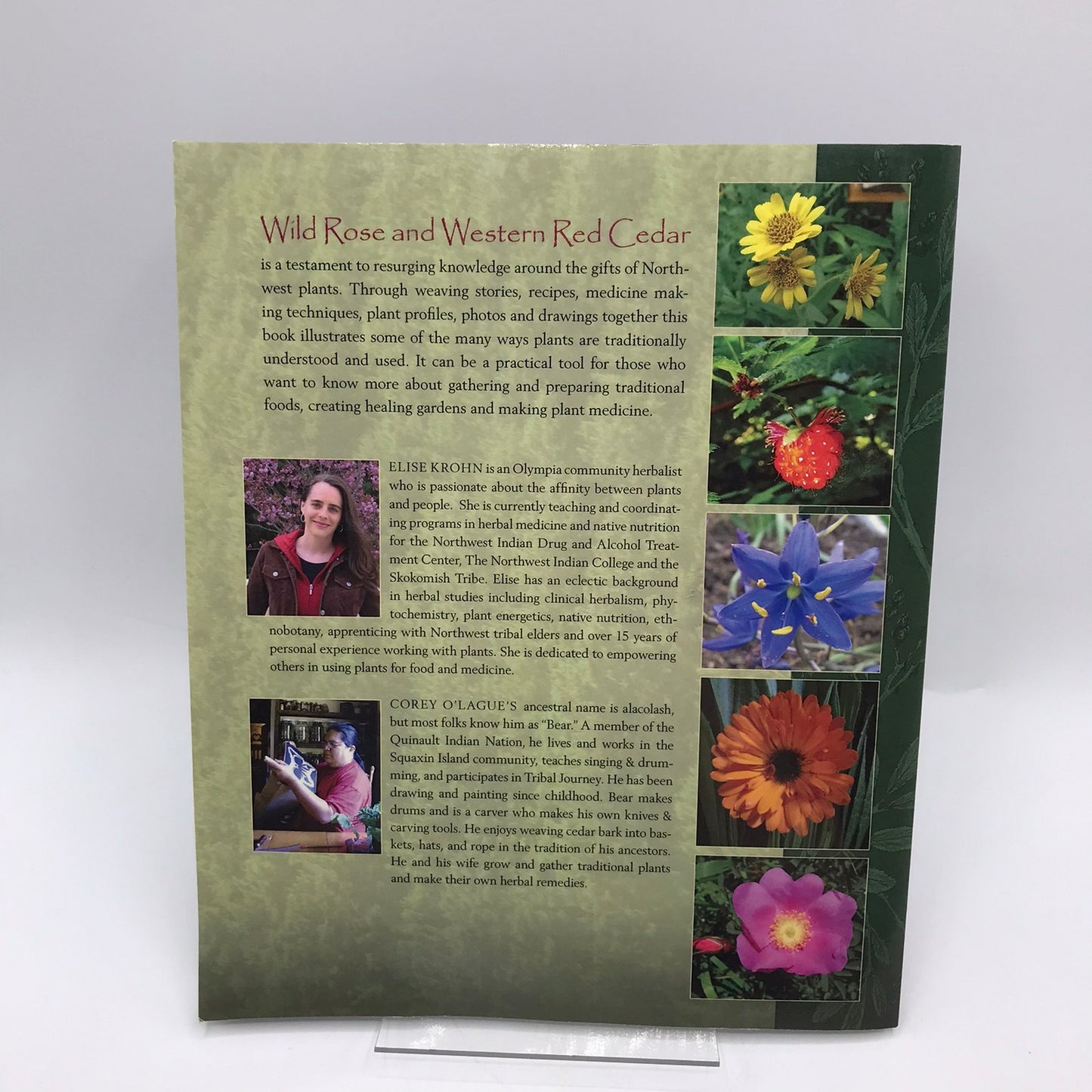 Wild Rose and Western Red Cedar Elise Krohn SIGNED Northwest Plant Medicine