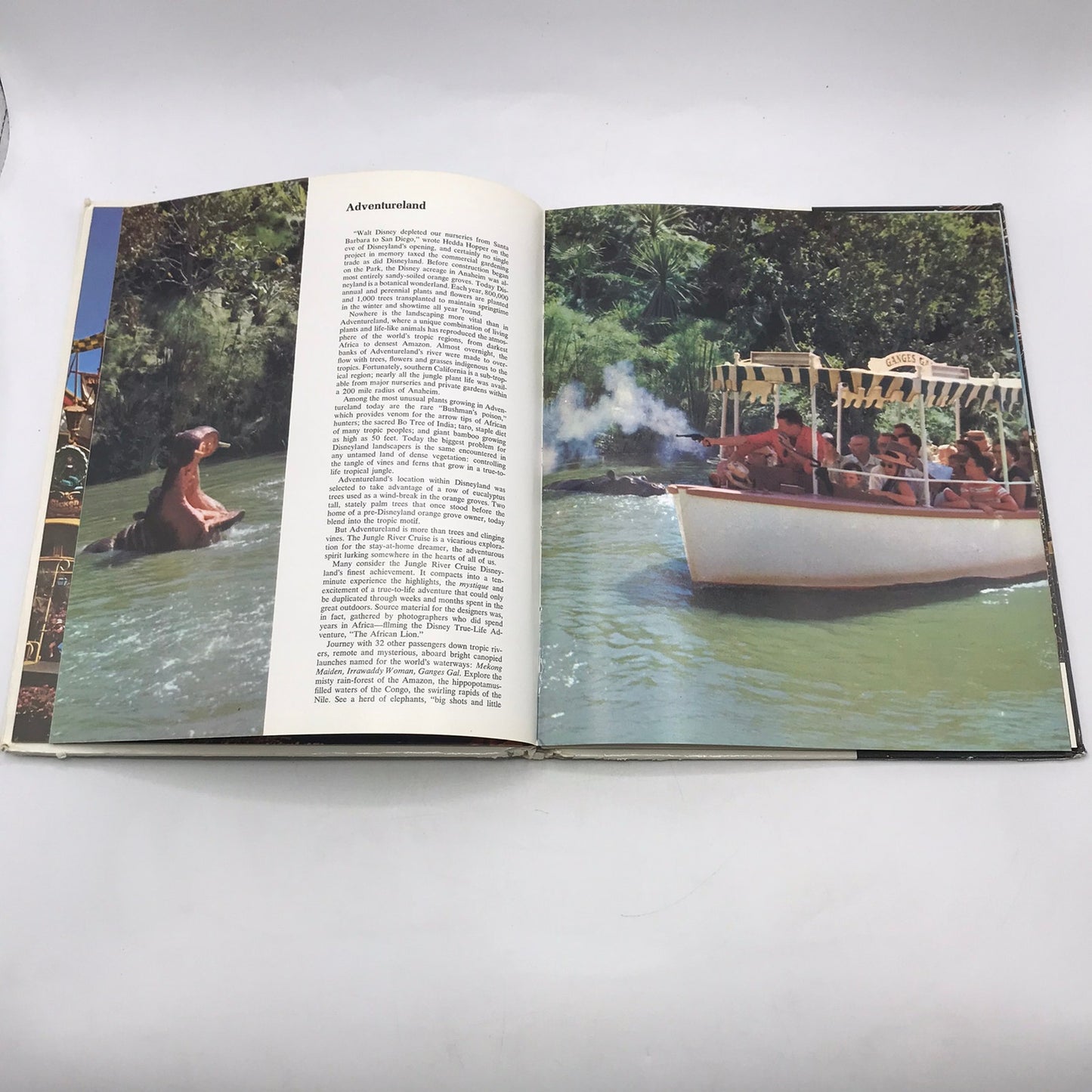 Walt Disney’s Disneyland Martin A Sklar Theme Park Behind the Scenes Souvenir