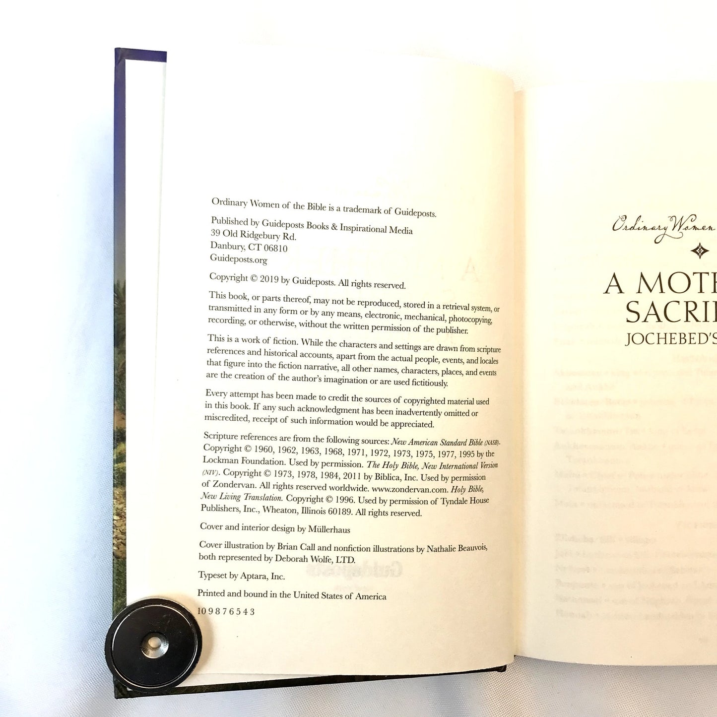 A Mother's Sacrifice Jochebed's Story Hardcover Book by Carole Towriss 2019