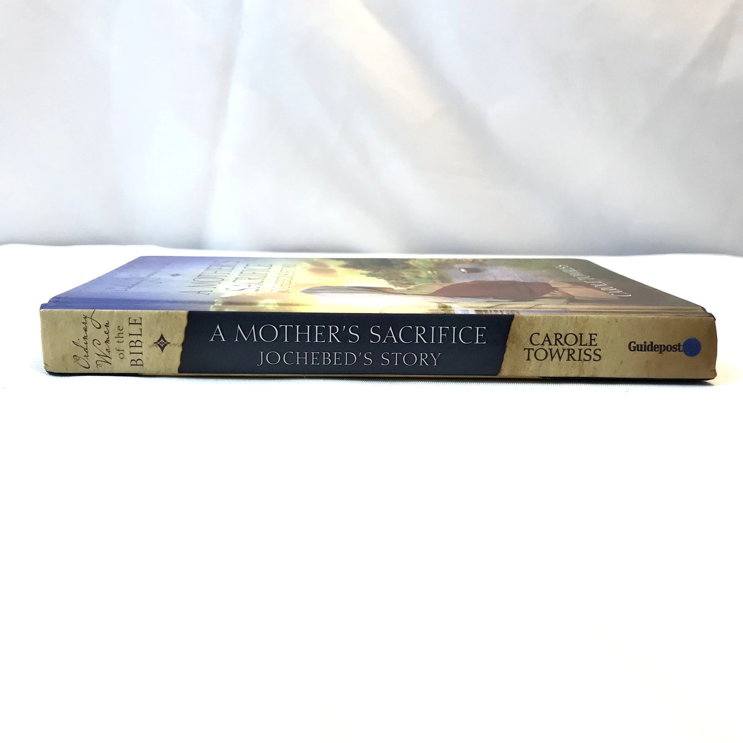 A Mother's Sacrifice Jochebed's Story Hardcover Book by Carole Towriss 2019