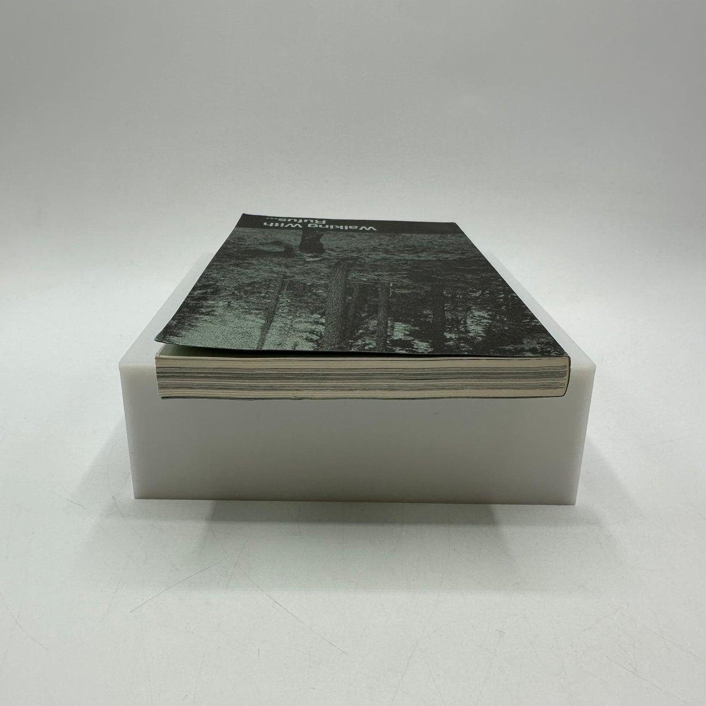 Walking With Rufus Kiser Seasonal Study Trees Shrubs Wildflowers Seminary Hill