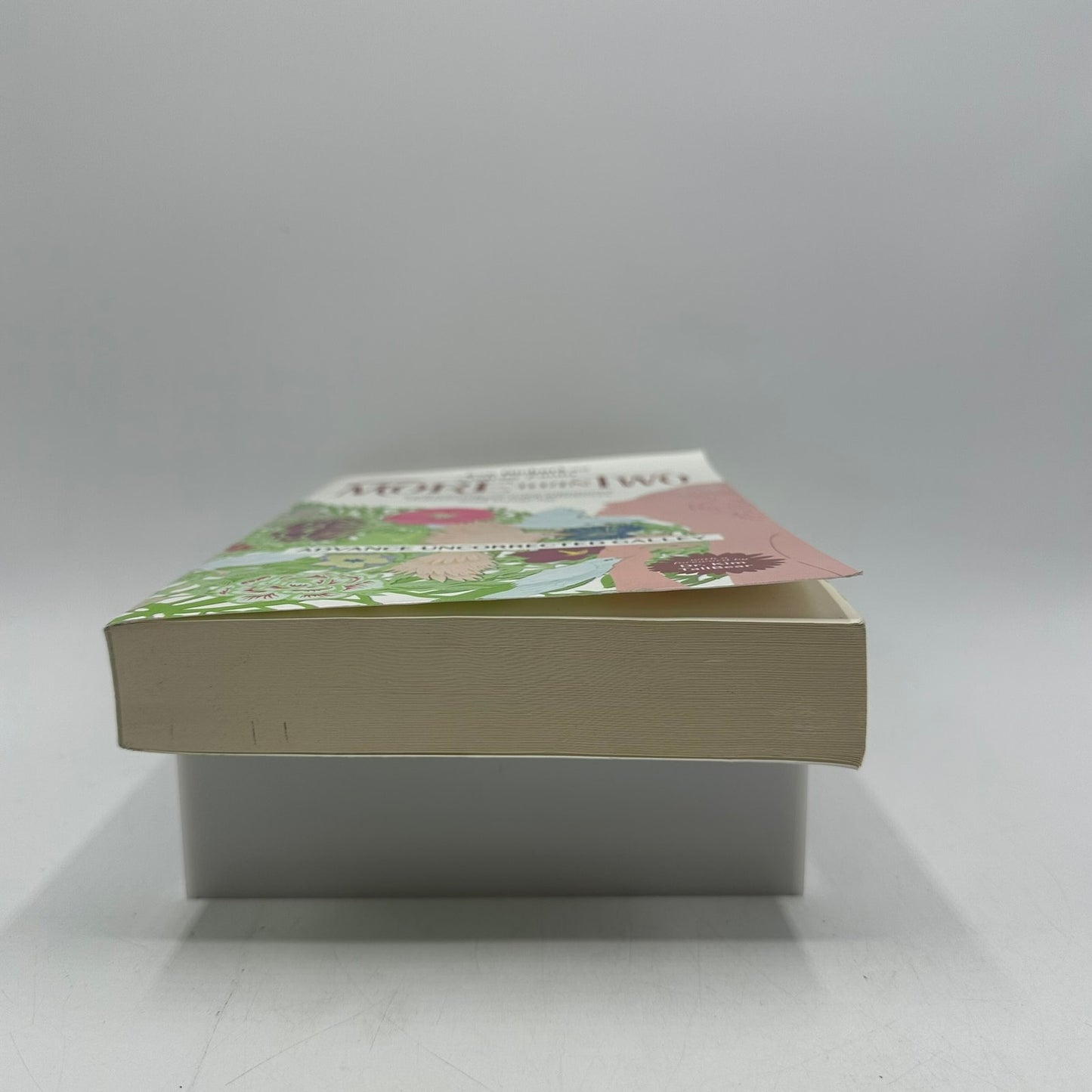 More Than Two Eve Rickert Andrea Zanin Interpersonal Relationships Polyamory