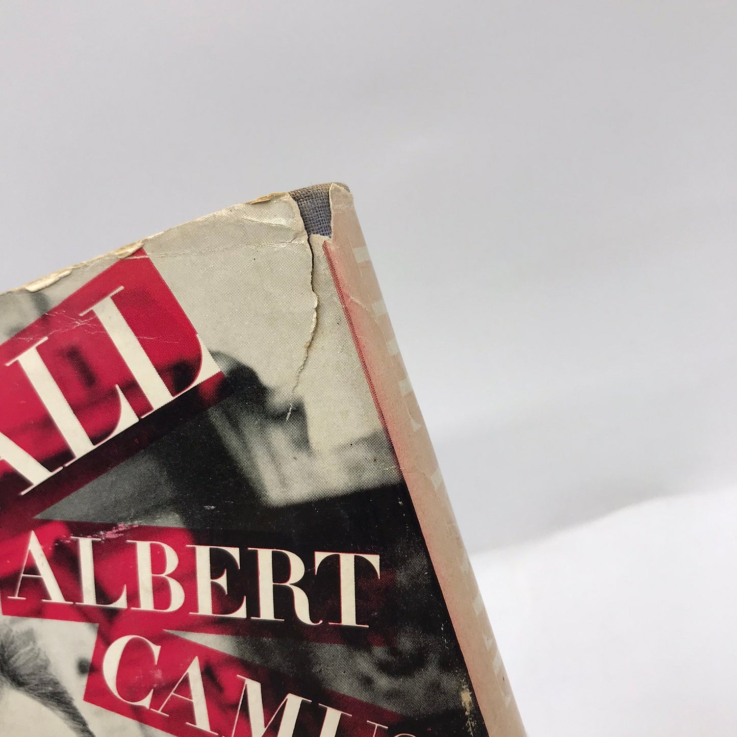 The Fall Albert Camus Human Fallibility Literary Fiction Philosophical Novel