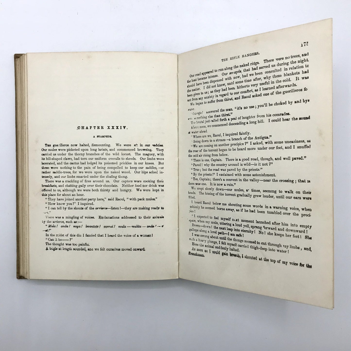 The Rifle Rangers Illustrated Vintage Hardcover Book by Captain Mayne Reid 1897