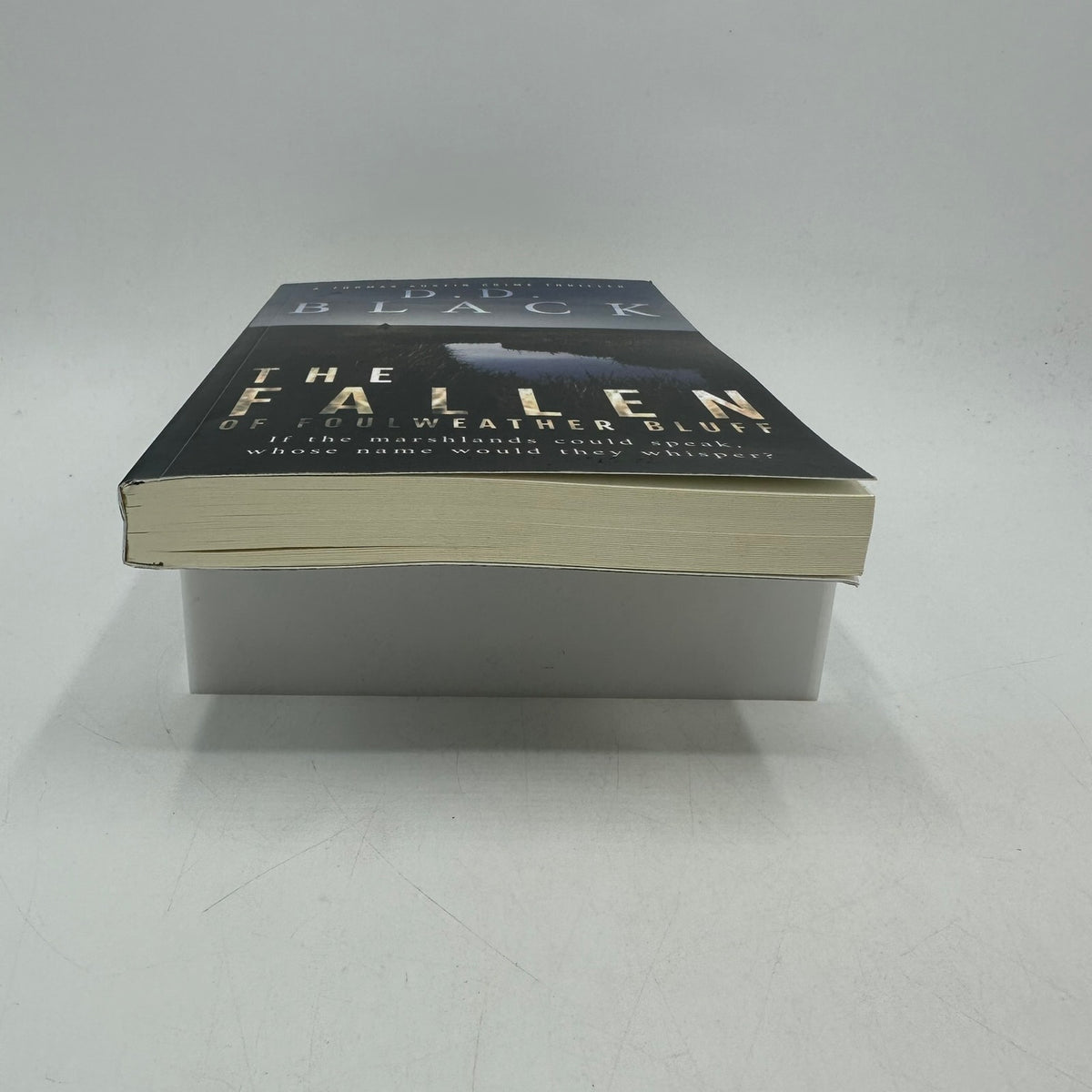 The Fallen of Foulweather Bluff Thomas Austin Crime Thriller by D D Black SIGNED