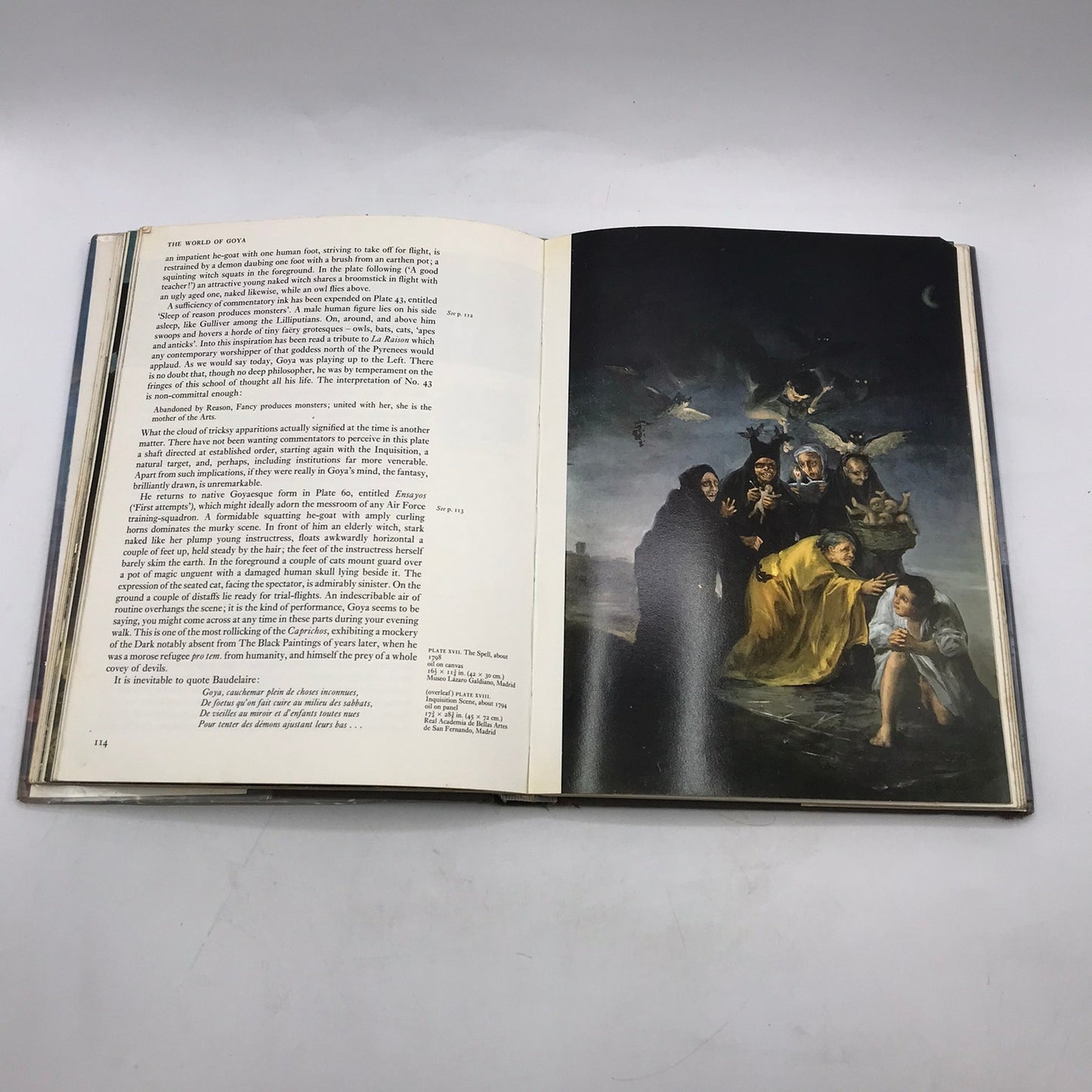 World of Goya D B Wyndham Lewis Spanish Painter Printmaker Art Culture History