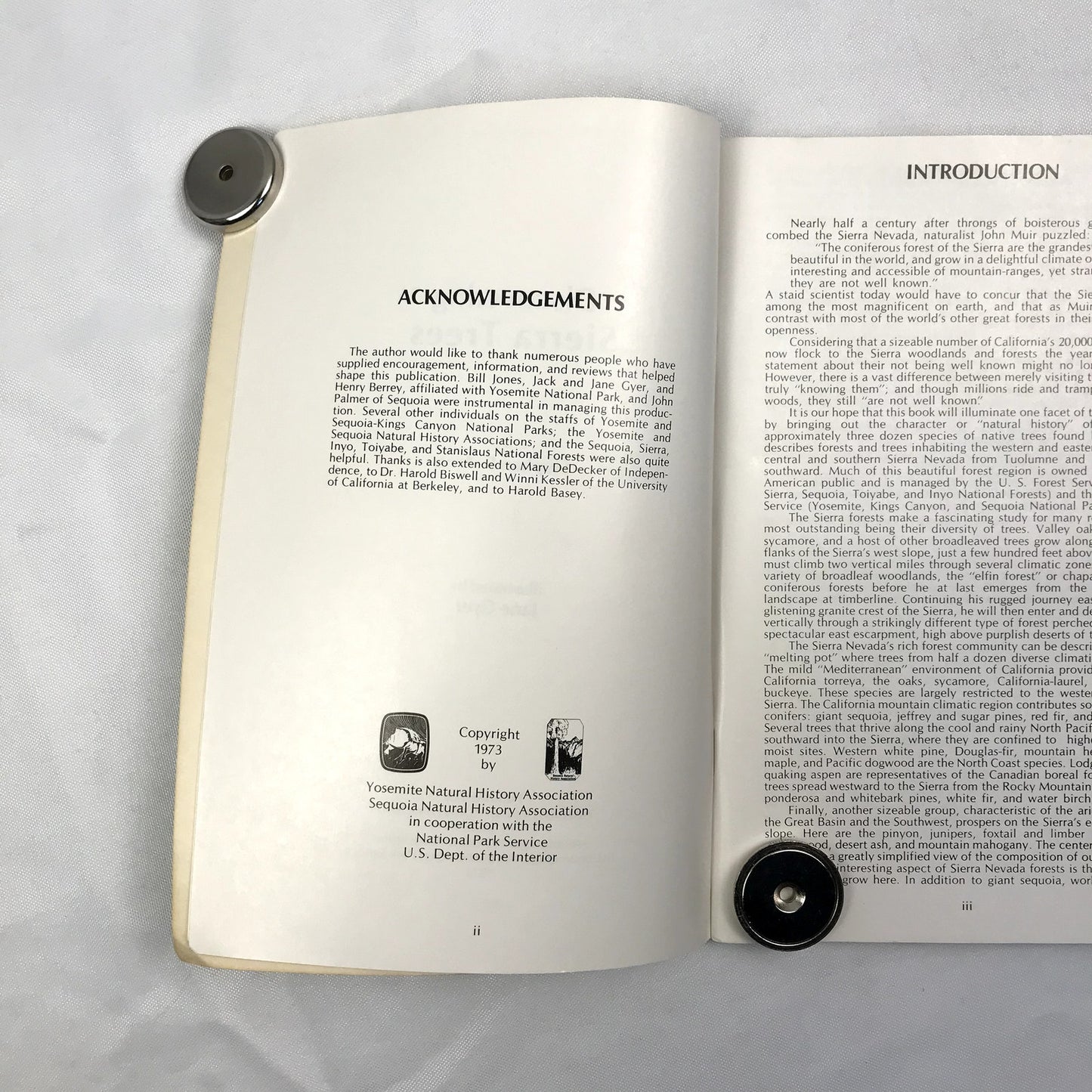 Discovering Sierra Trees Illustrated Paperback Book Stephen F. Arno 1973