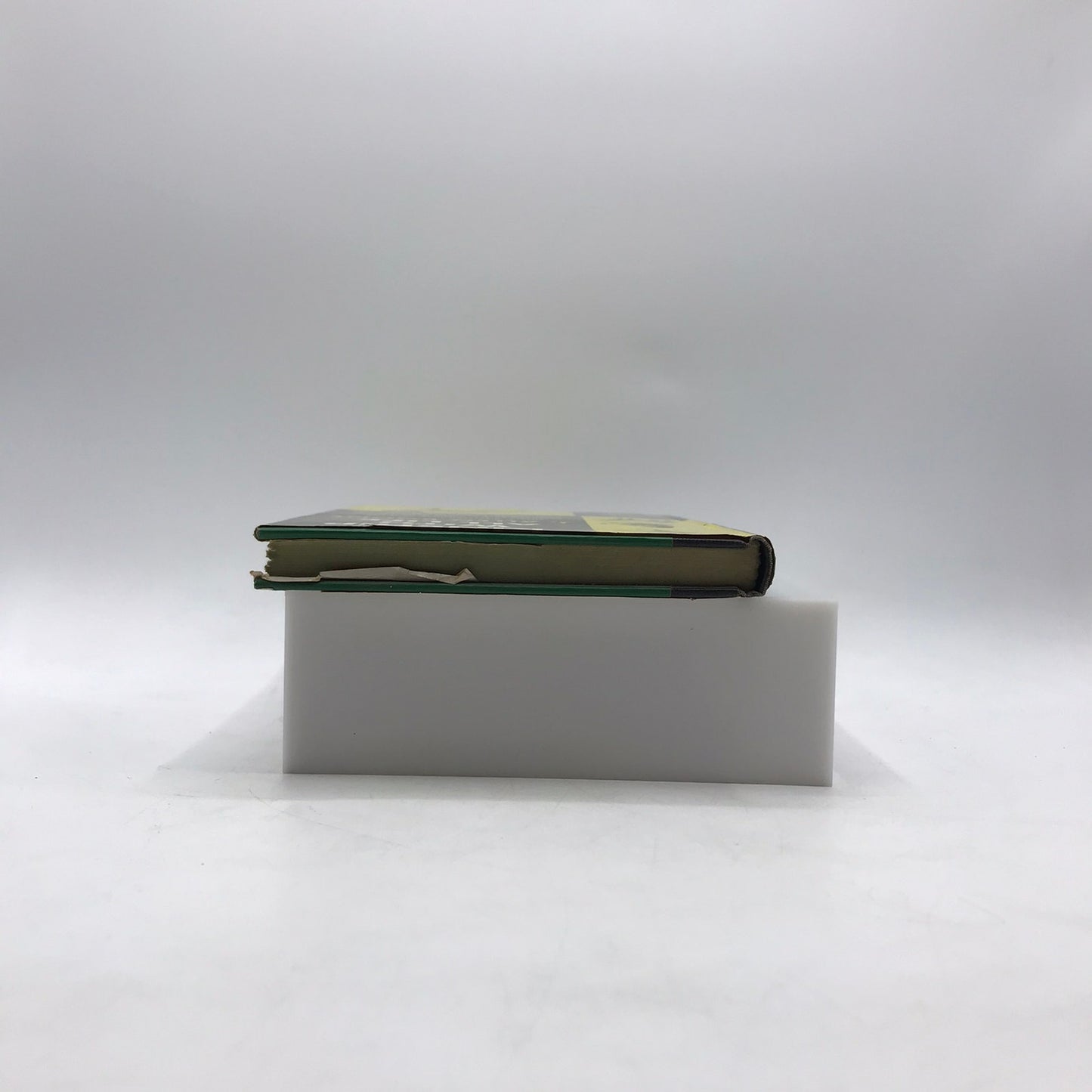 Kinship With All Life J Allen Boone Animal Pet Communication Nature Philosophy