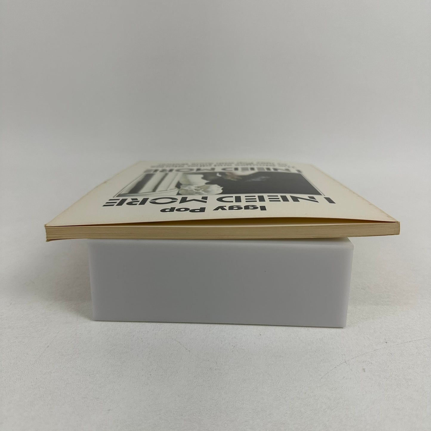 I Need More The Stooges and Other Stories Iggy Pop Anne Wehrer Biography Memoir