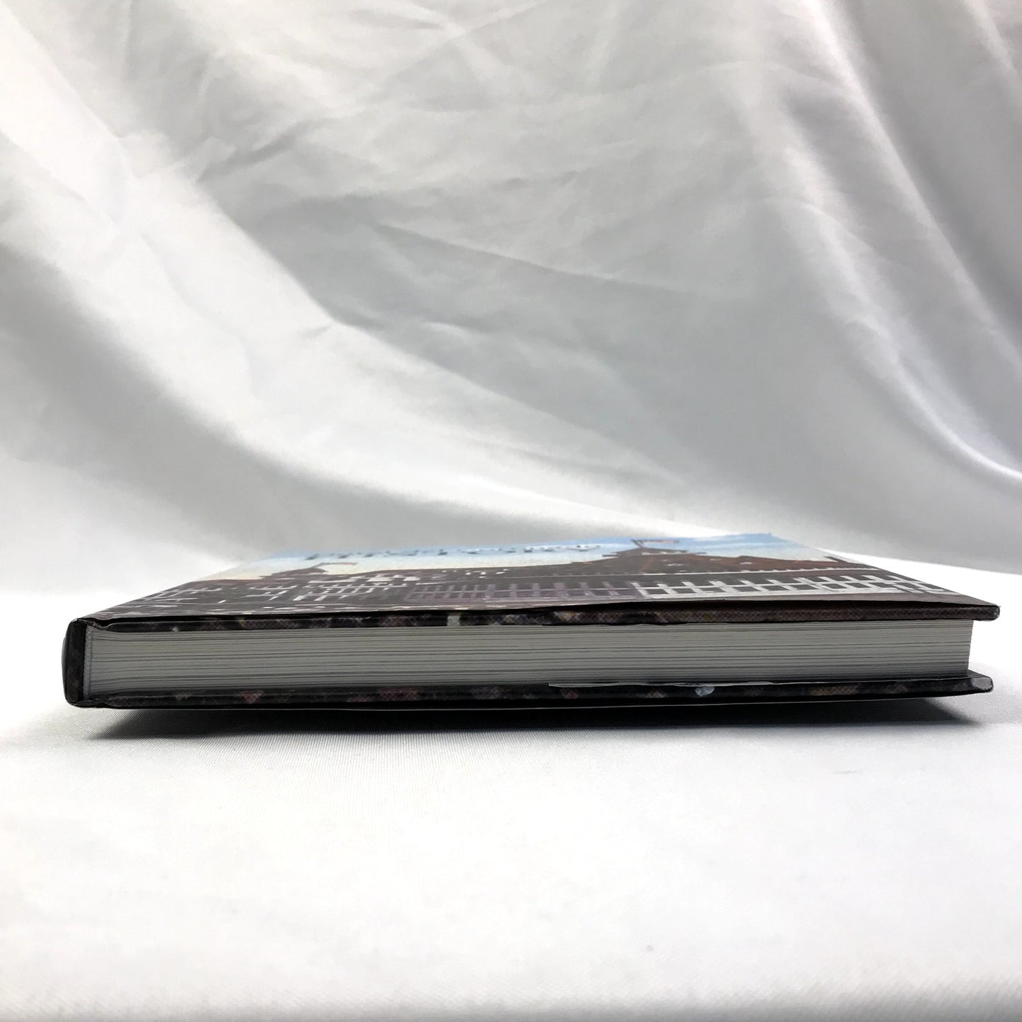 Hotel del Coronado History Illustrated Hardcover Book 125th Anniversary 2013