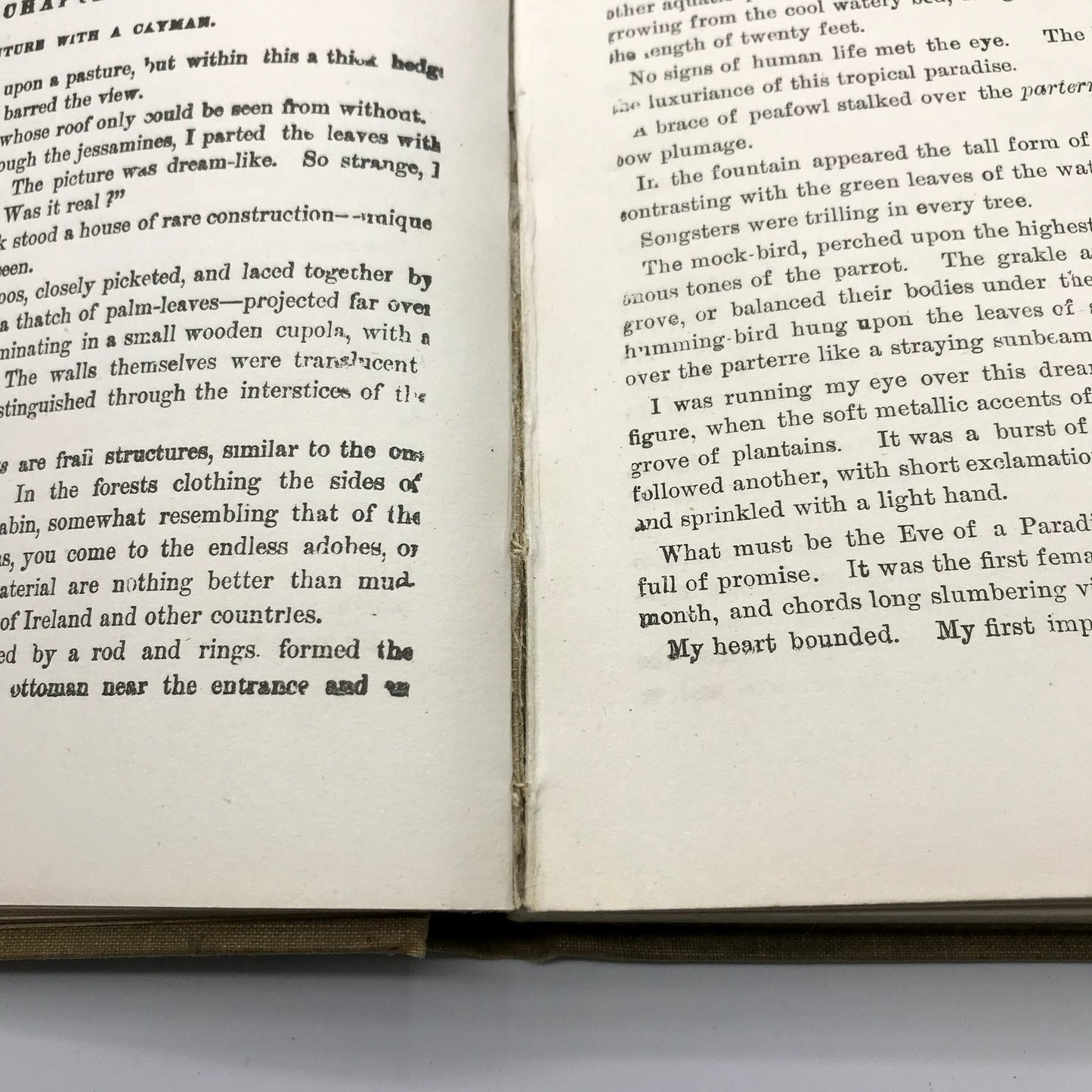 The Rifle Rangers Illustrated Vintage Hardcover Book by Captain Mayne Reid 1897