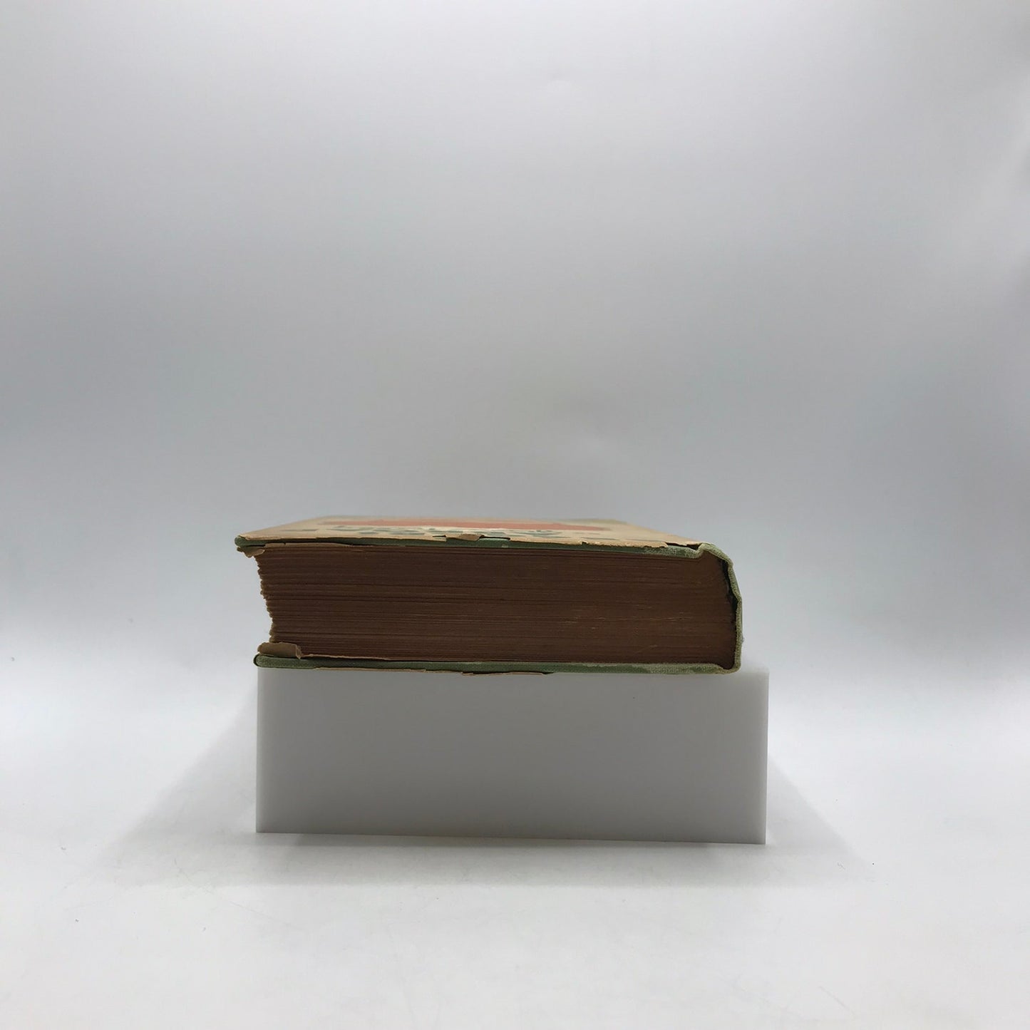 Beggars Abroad Jim Tully Personal Narrative Europe Travel Literature Memoir 1930