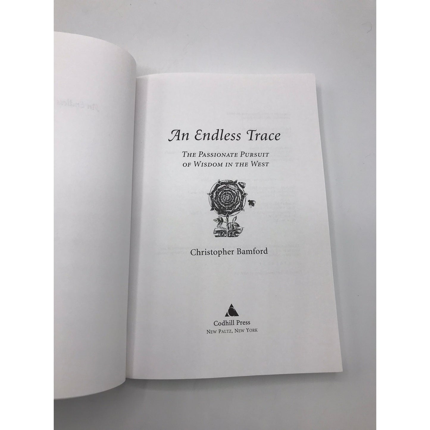 An Endless Trace Passionate Pursuit of Wisdom in The West Christopher Bamford