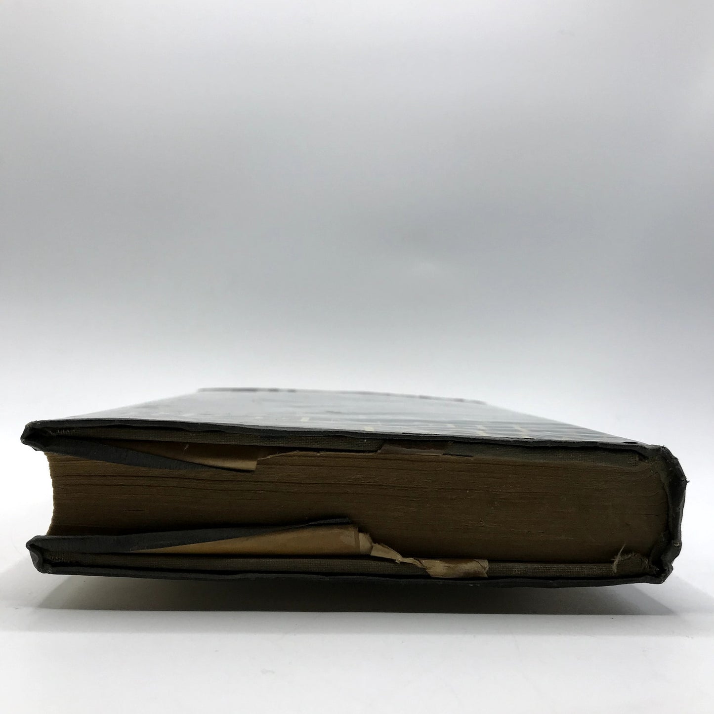 What The Negro Wants Hardcover by Rayford Logan 1944 with Dust Jacket Ex-Library