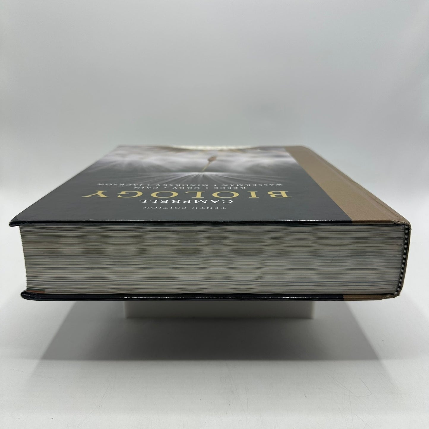Campbell Biology Tenth Edition Textbook Student Learning Biological Sciences