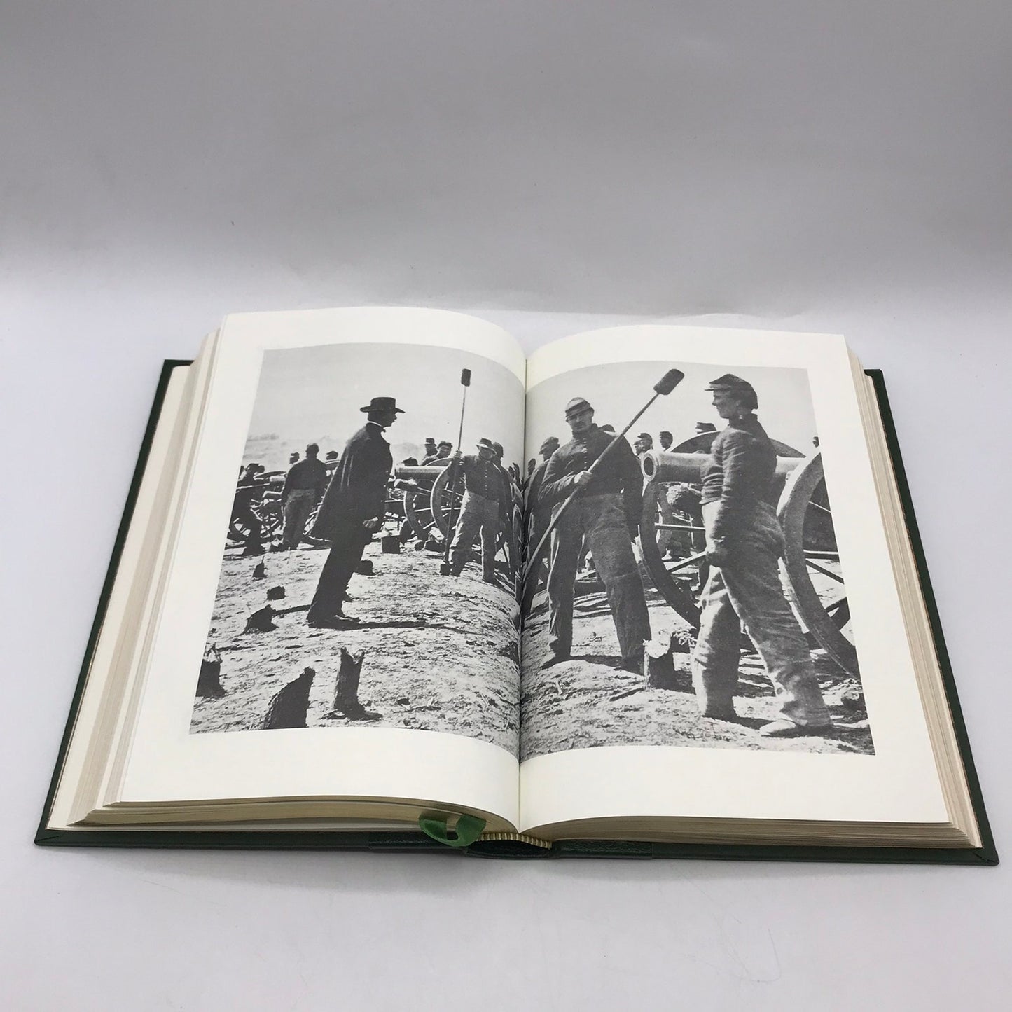 Leaves of Grass Walt Whitman American Identity Classic Nature Poetry Democracy
