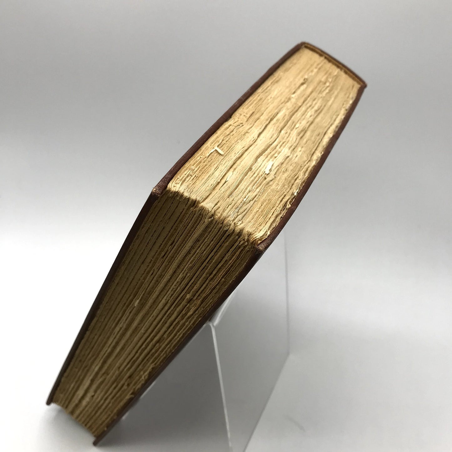 King Spider Illustrated Hardcover Book by D.B. Wyndham Lewis 1929 First Edition