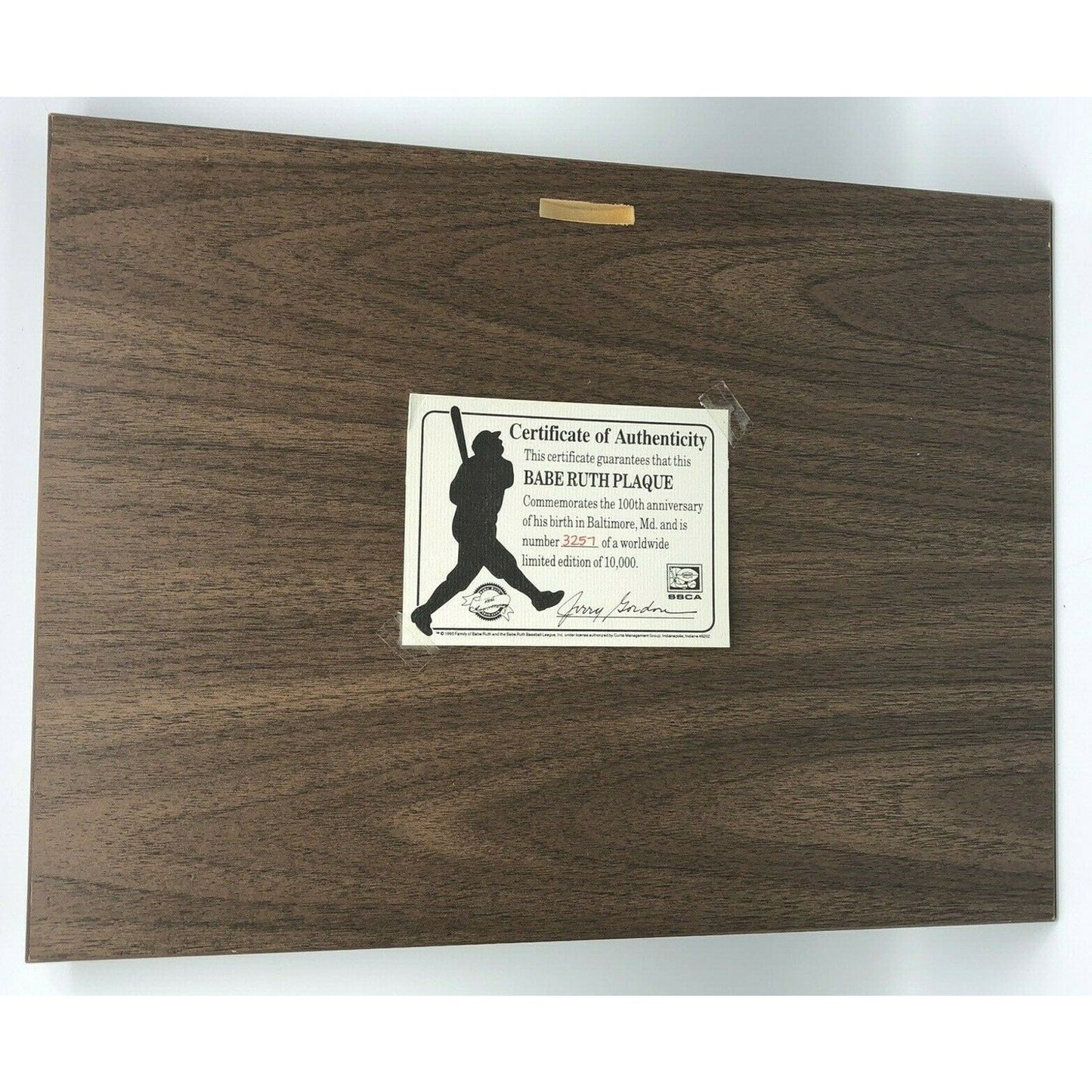 Babe Ruth 100th Anniversary Birth Plaque 1895-1995 SSCA Limited Numbered 1995