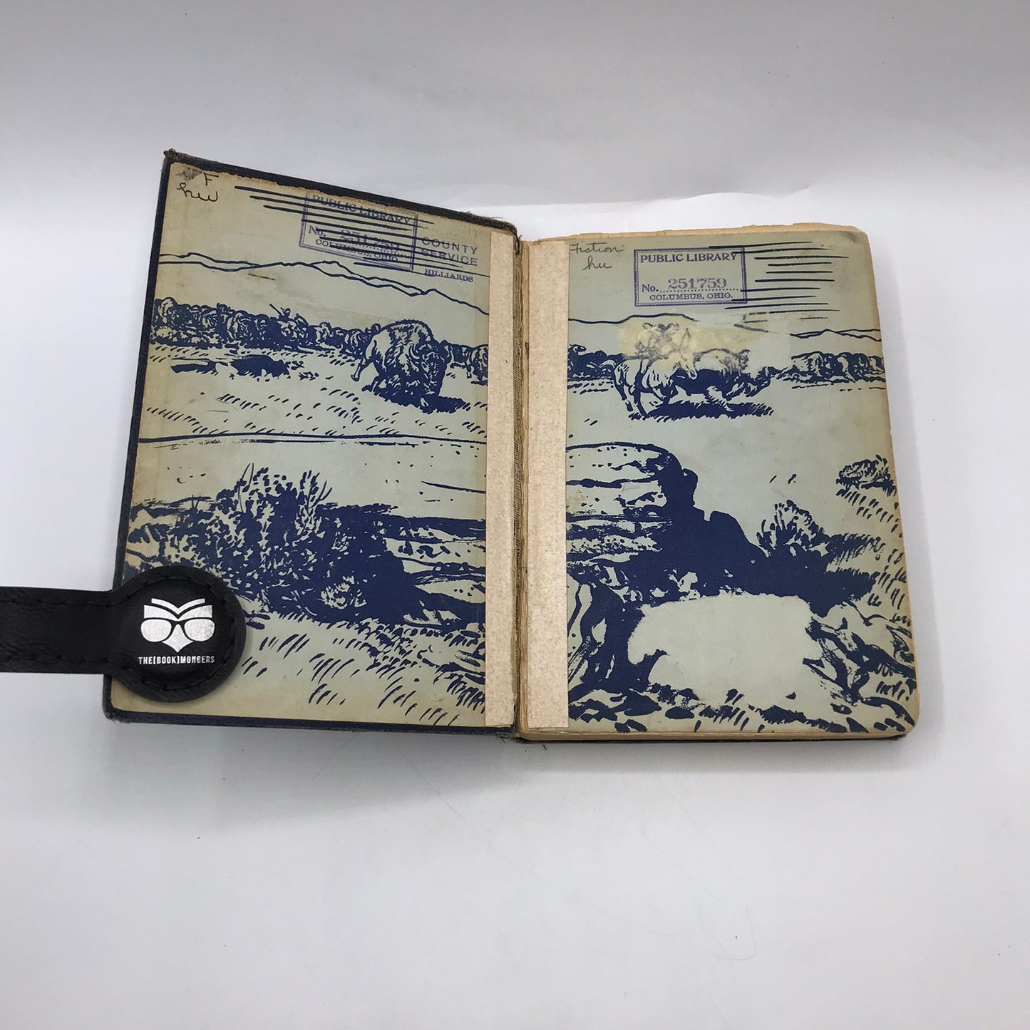 Queer Person Ralph Hubbard Young Adult Juvenile Native American Historical Novel