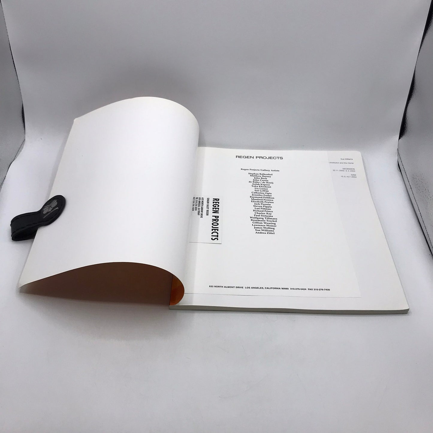Secession IVAM Sue Williams Art For Institution and Home Catalog Regen Project