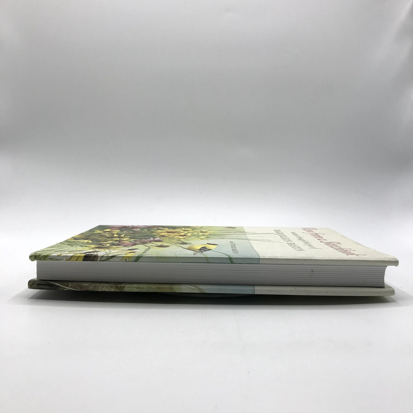View from a Sketchbook Marjolein Basti First Printing Illustrated Hardcover 2004