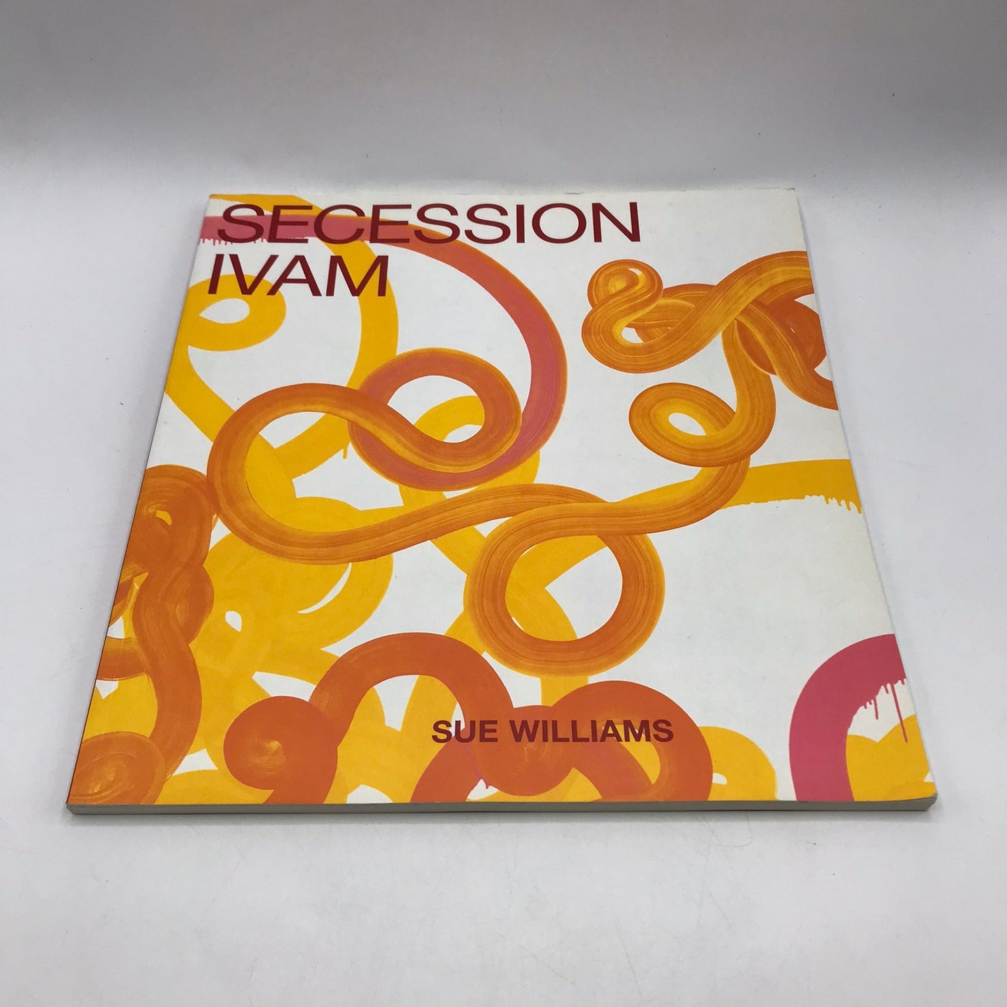 Secession IVAM Sue Williams Art For Institution and Home Catalog Regen Project