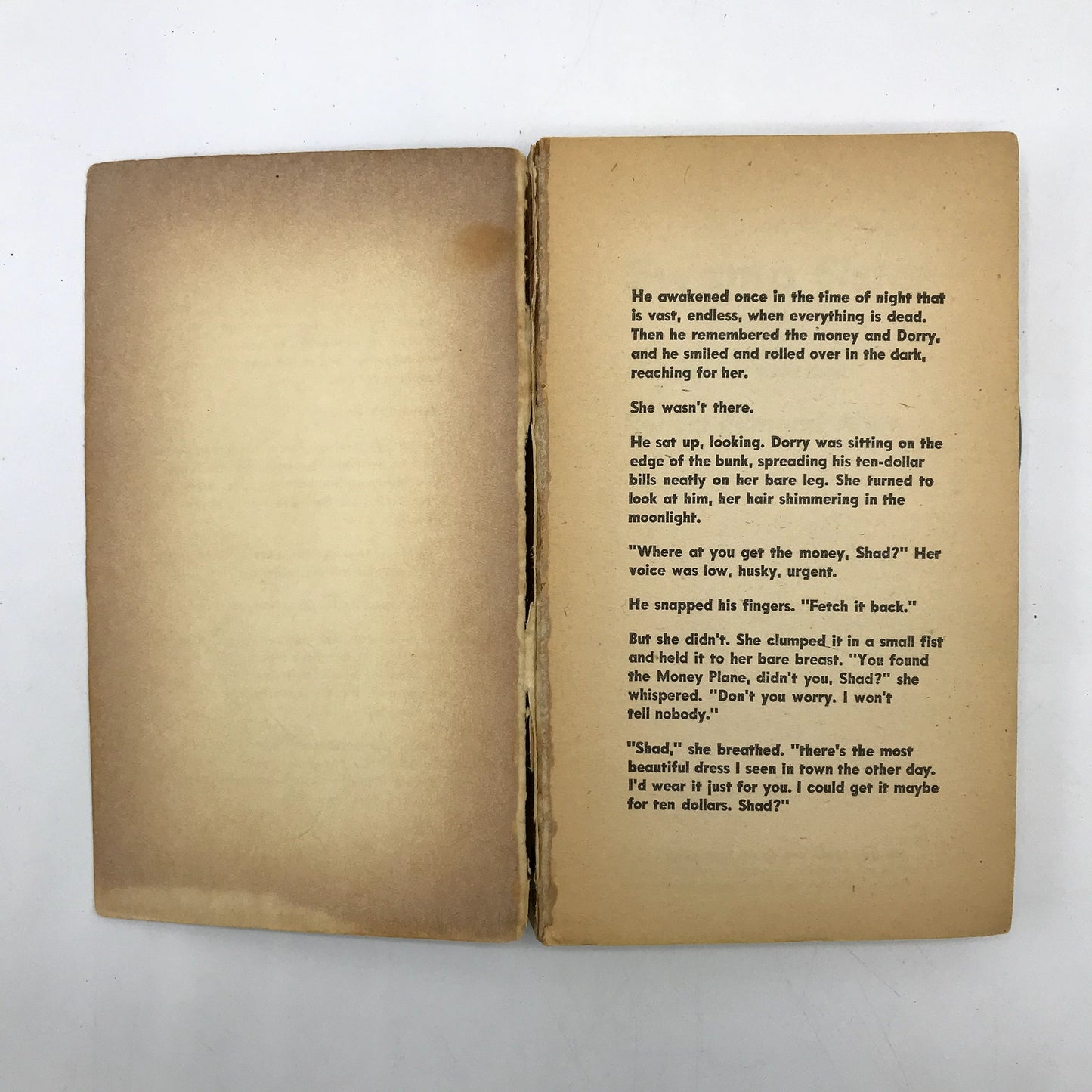 Swamp Sister Paperback Mystery Novel by Robert Edmond Alter First Printing 1961