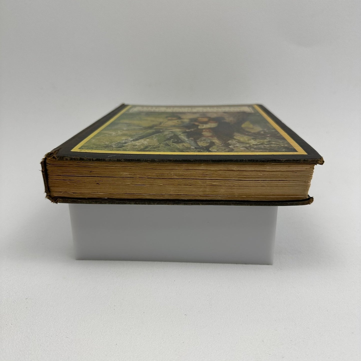 The Black Arrow Robert Louis Stevenson Tale of Two Roses Color Plates Wyeth 1916