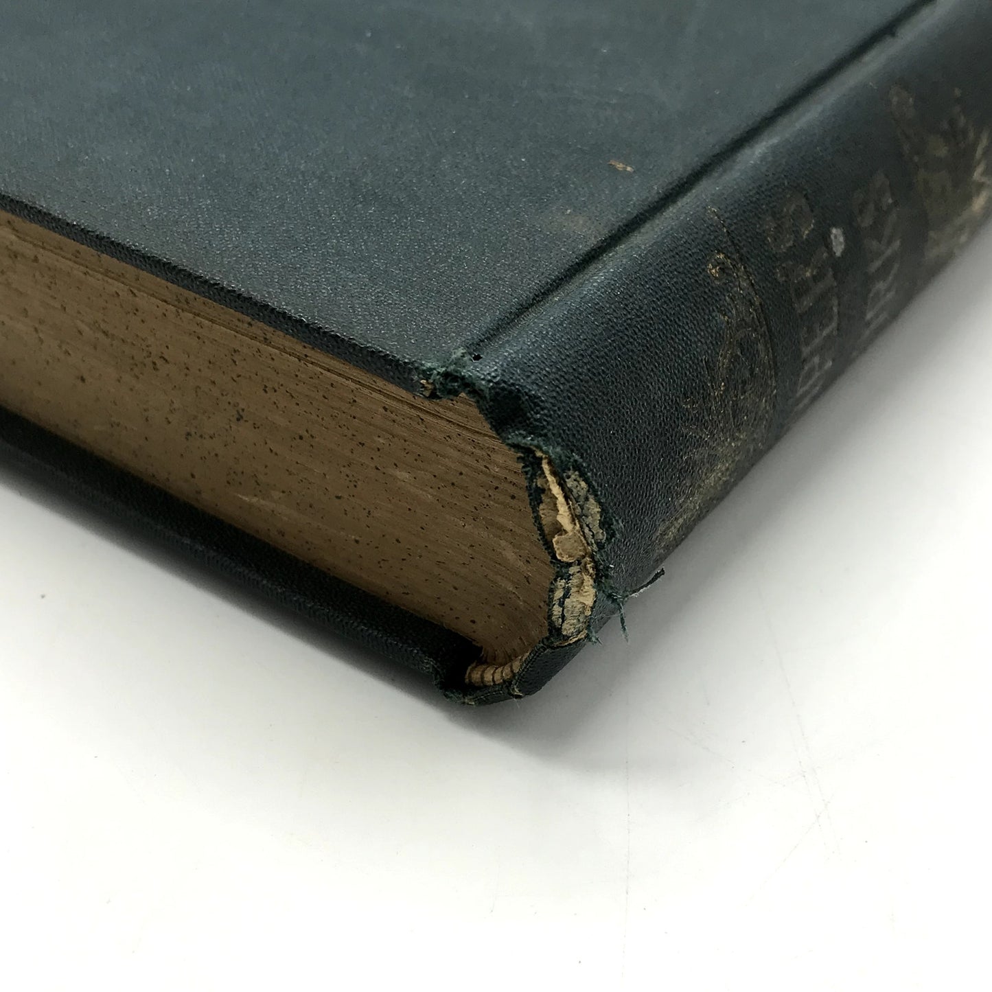 The Works of James Fenimore Cooper Volume 5 Illustrated Hardcover Book 1892