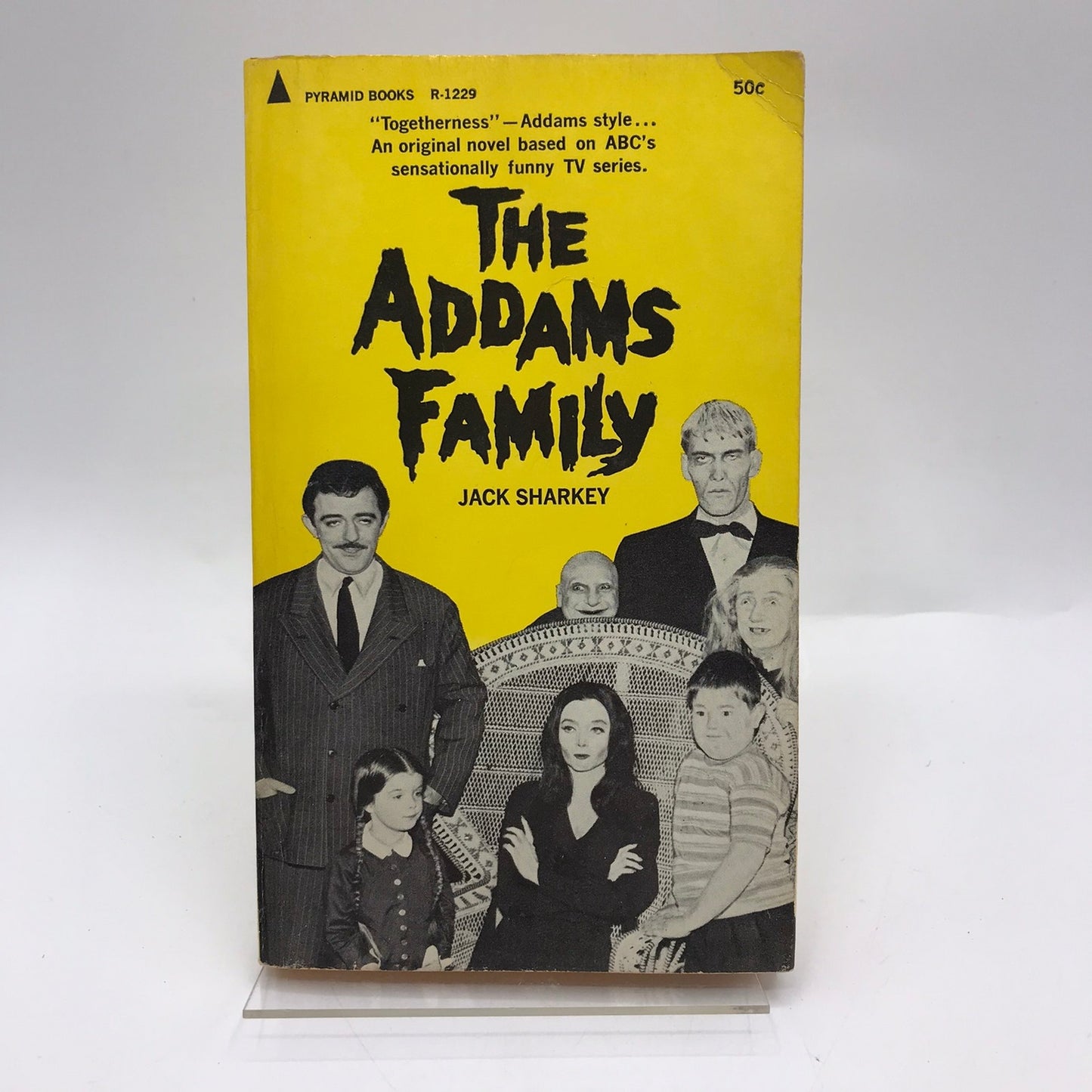 The Addams Family Jack Sharkey Young Adult Horror Thriller Humor Fantasy Novel