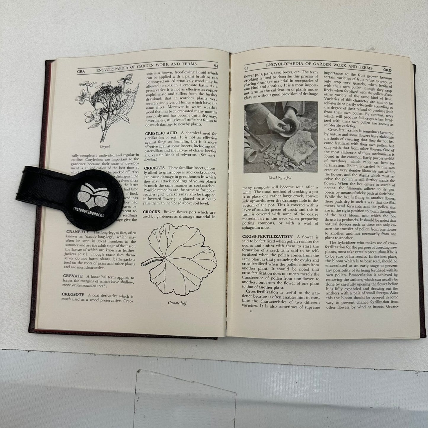 Encyclopaedia of Garden Work and Terms A. G. L. Hellyer 1954 First Edition