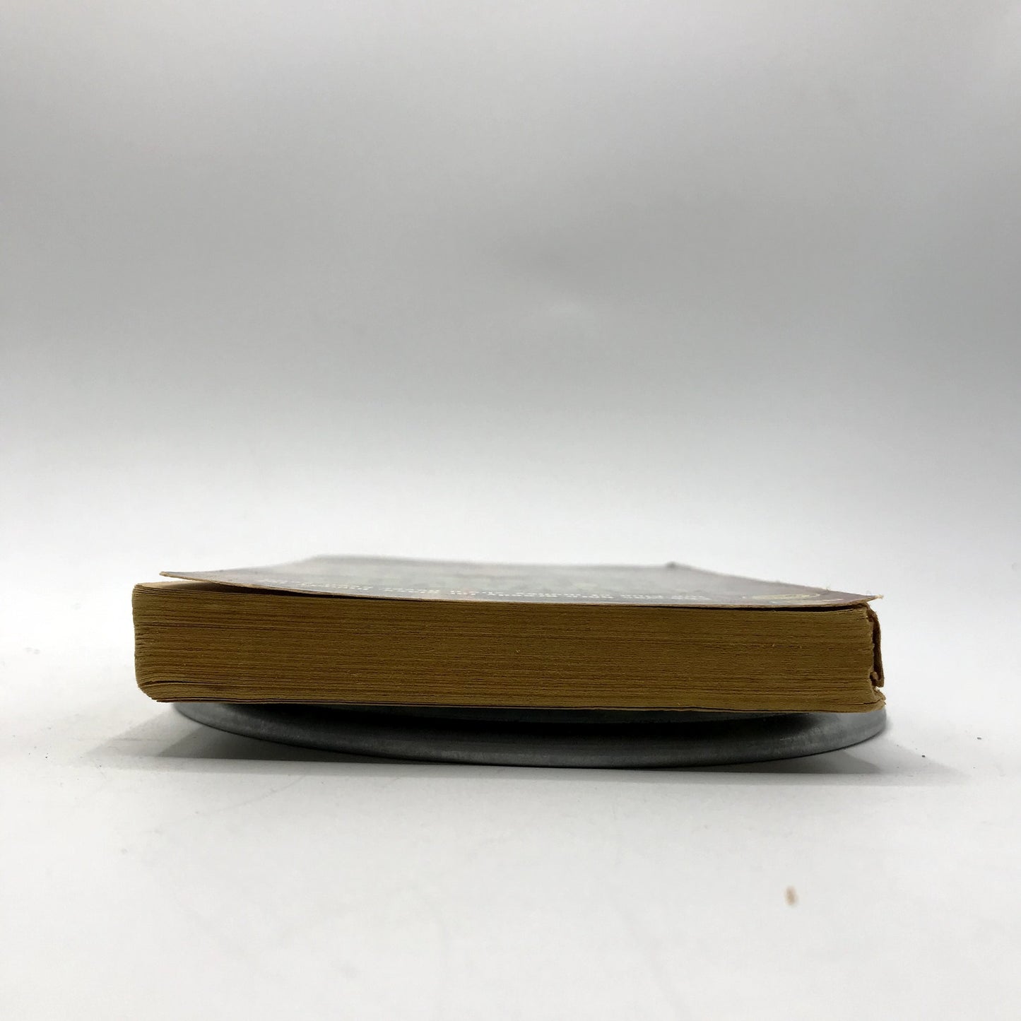 Swamp Sister Paperback Mystery Novel by Robert Edmond Alter First Printing 1961