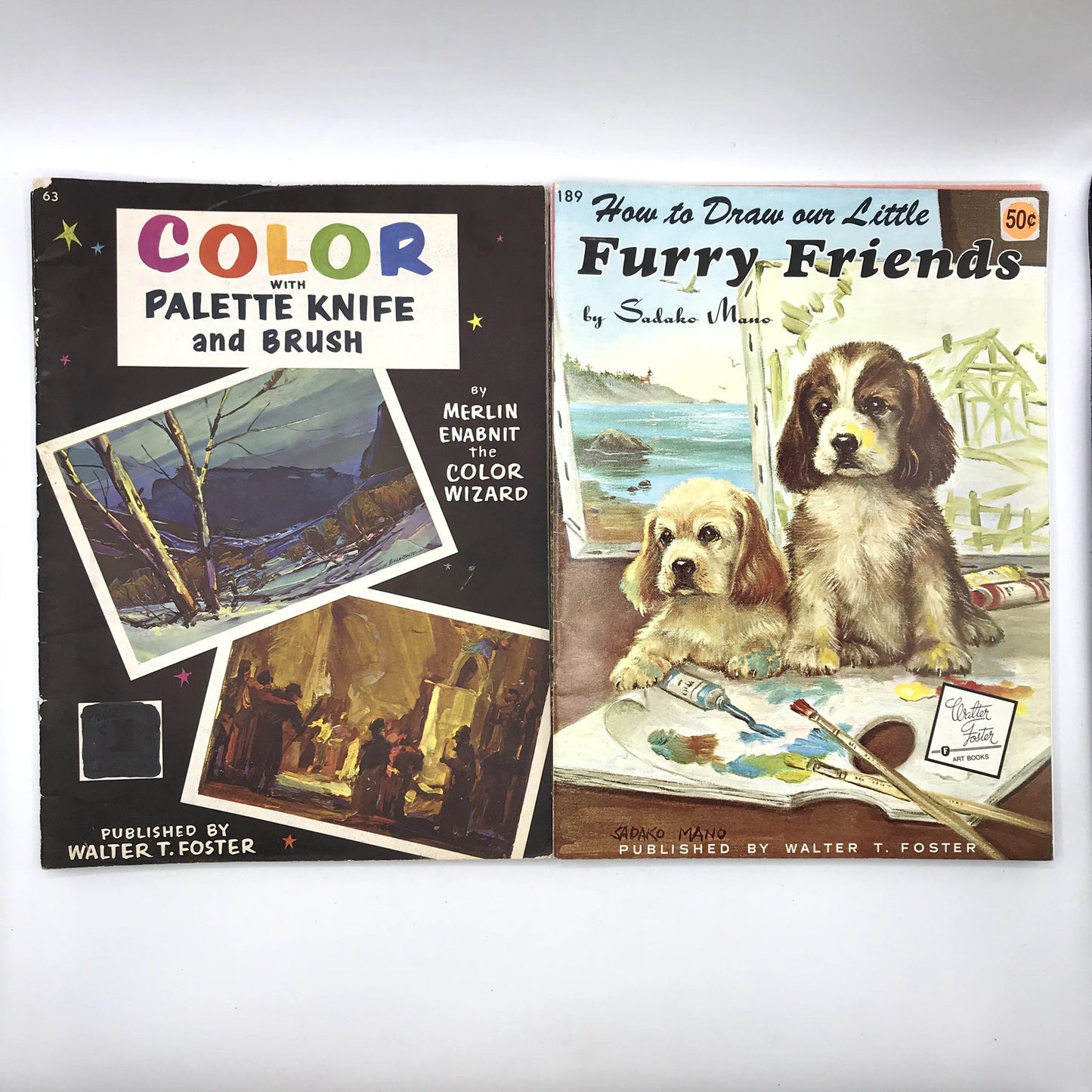 Lot of 25 How To Draw & Paint Illustrated Paperback Art Books Walter T. Foster