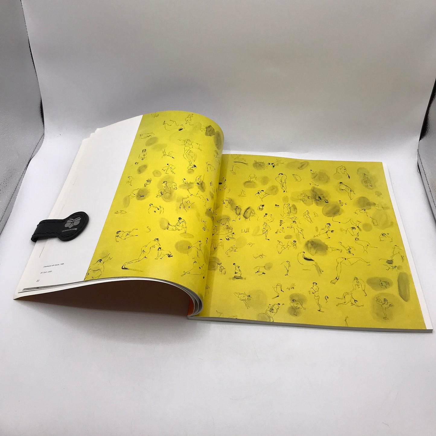 Secession IVAM Sue Williams Art For Institution and Home Catalog Regen Project