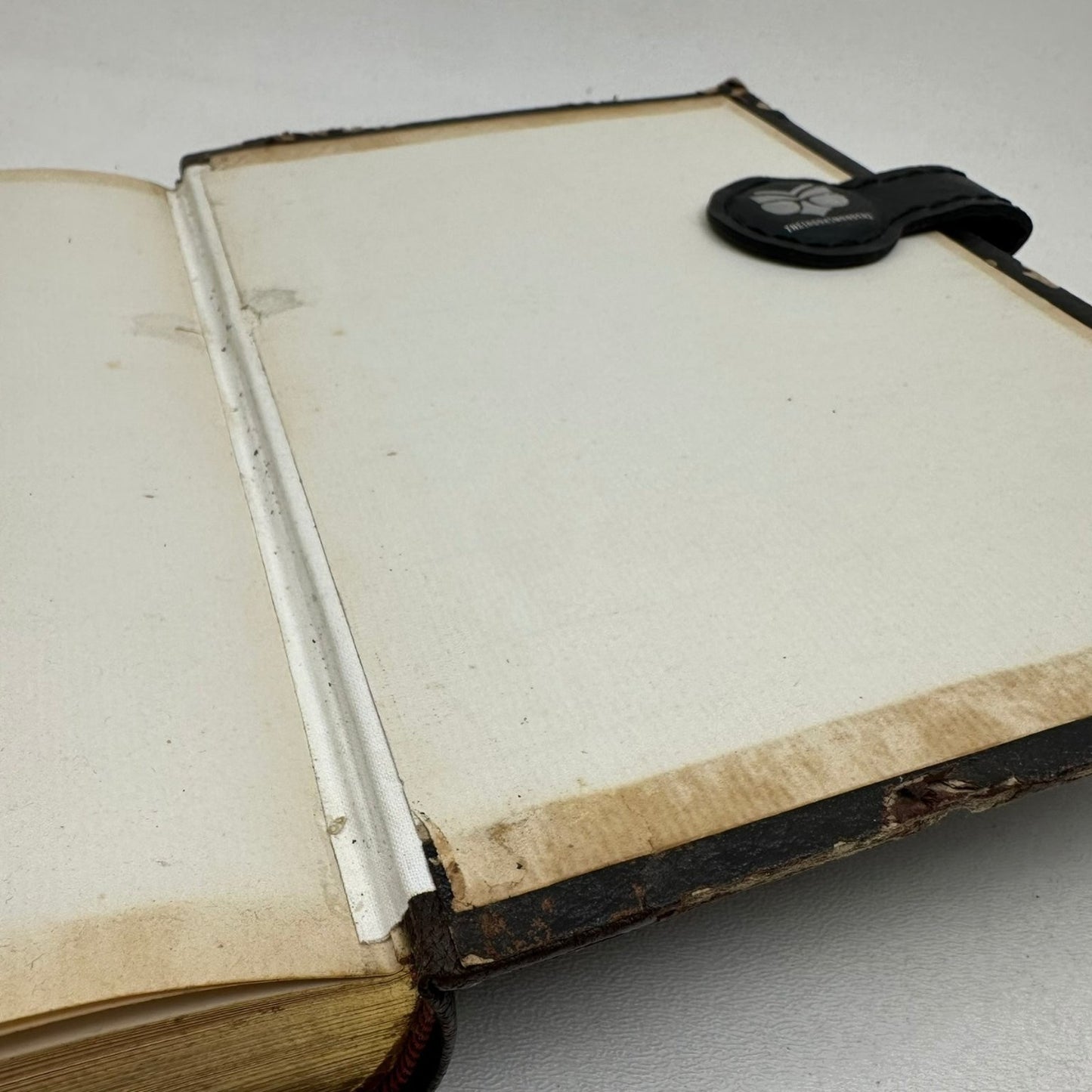 The Beautiful Life of Frances E. Willard Anna A. Gordon 1898 Biography W.T.P.A.