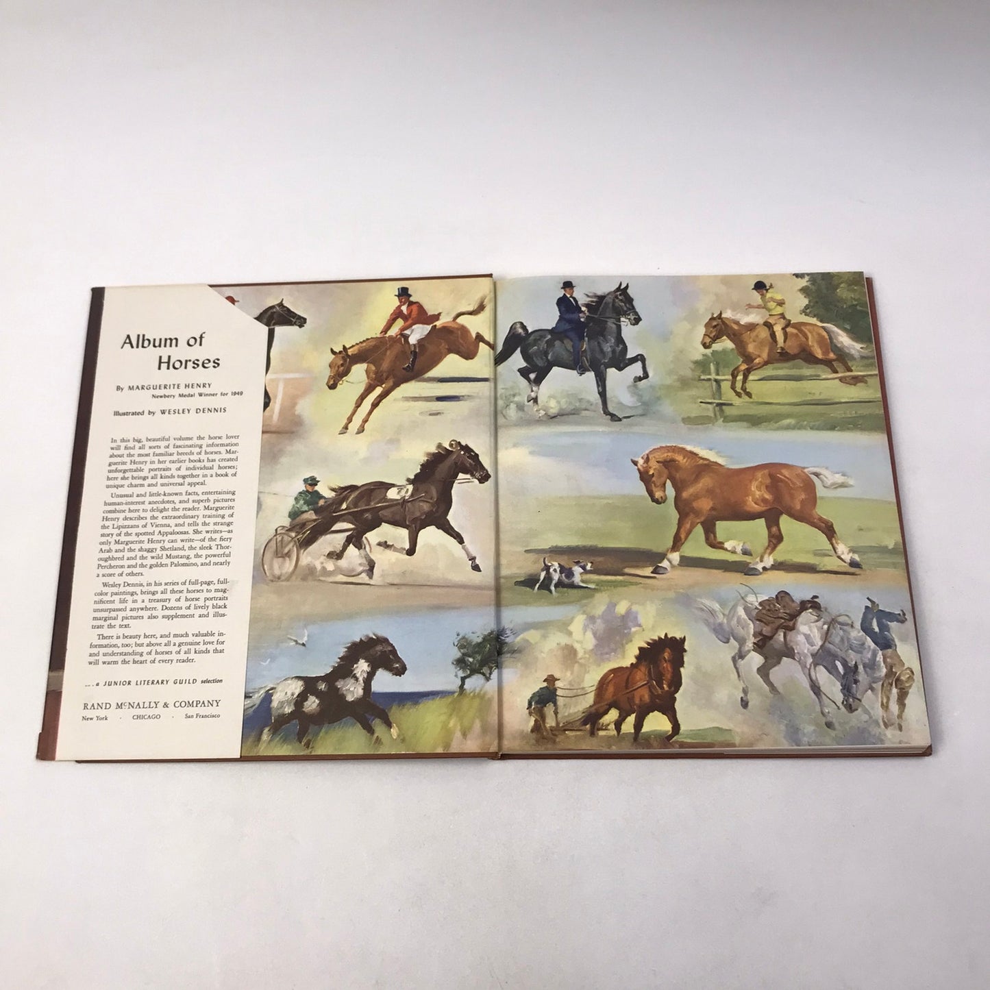 Album of Horses Marguerite Henry Childrens Animal Breeds Nature Classics History