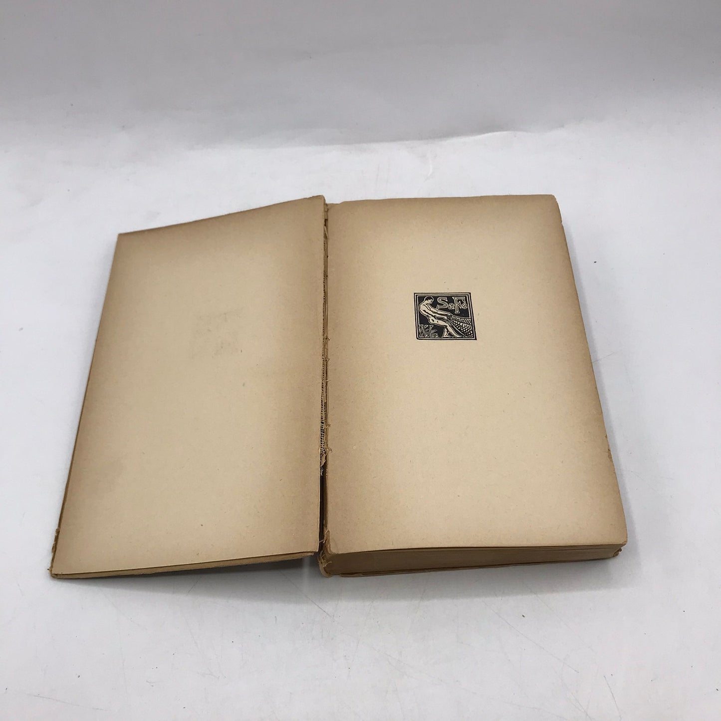 Der Weg Ins Freie Roman Arthur Schnitzler Historical German Literature 1920