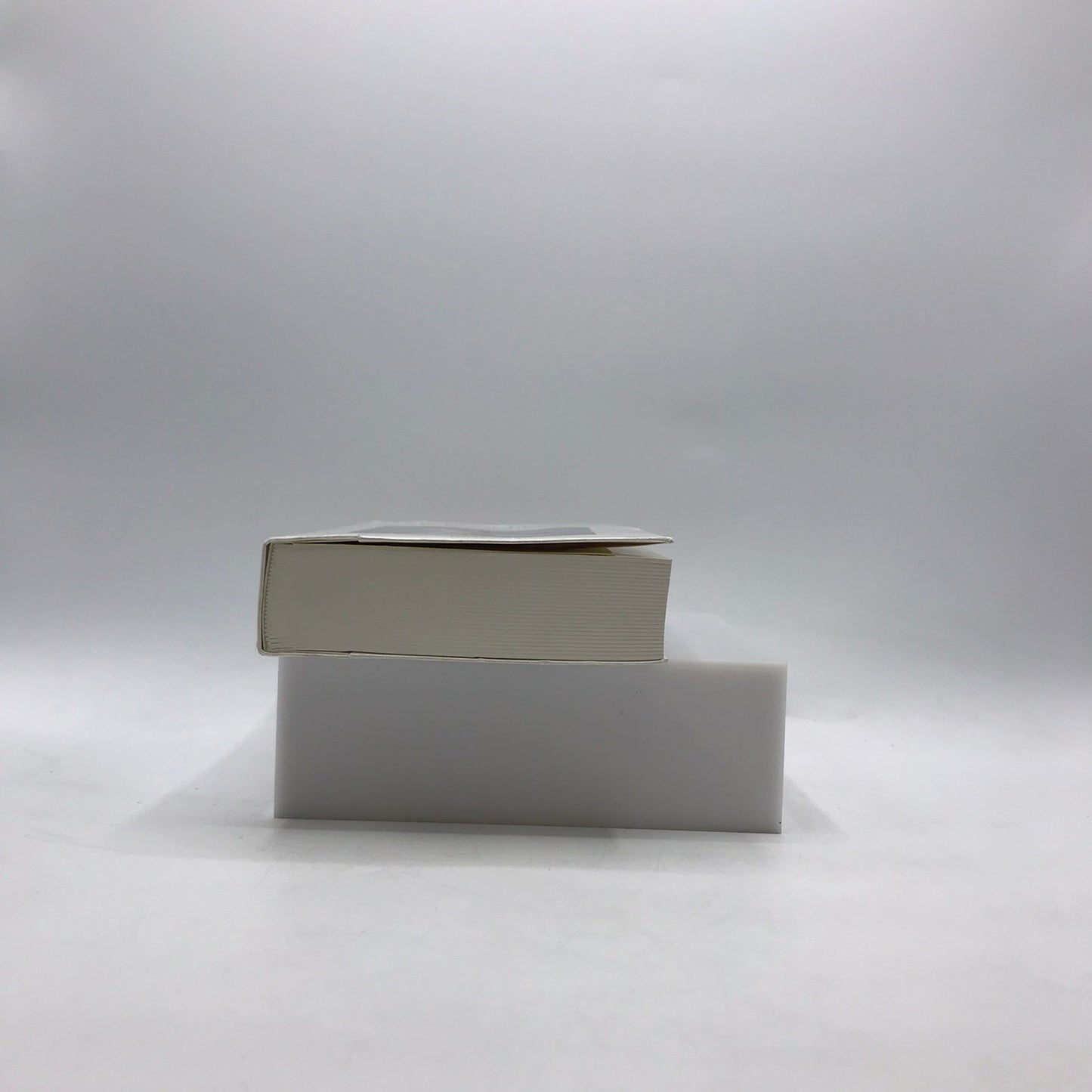 Les Porcelaines Françaises Tardy Lesur History Characteristics Decorations