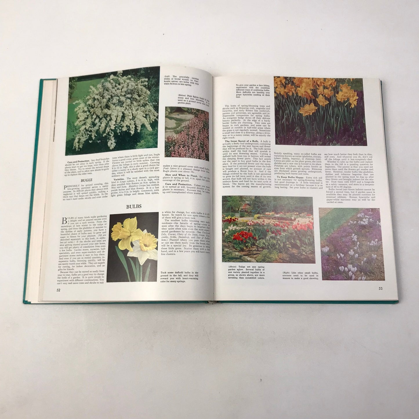 The Complete Guide To Garden Flowers Herbert Askwith Encyclopedia Plants Nature