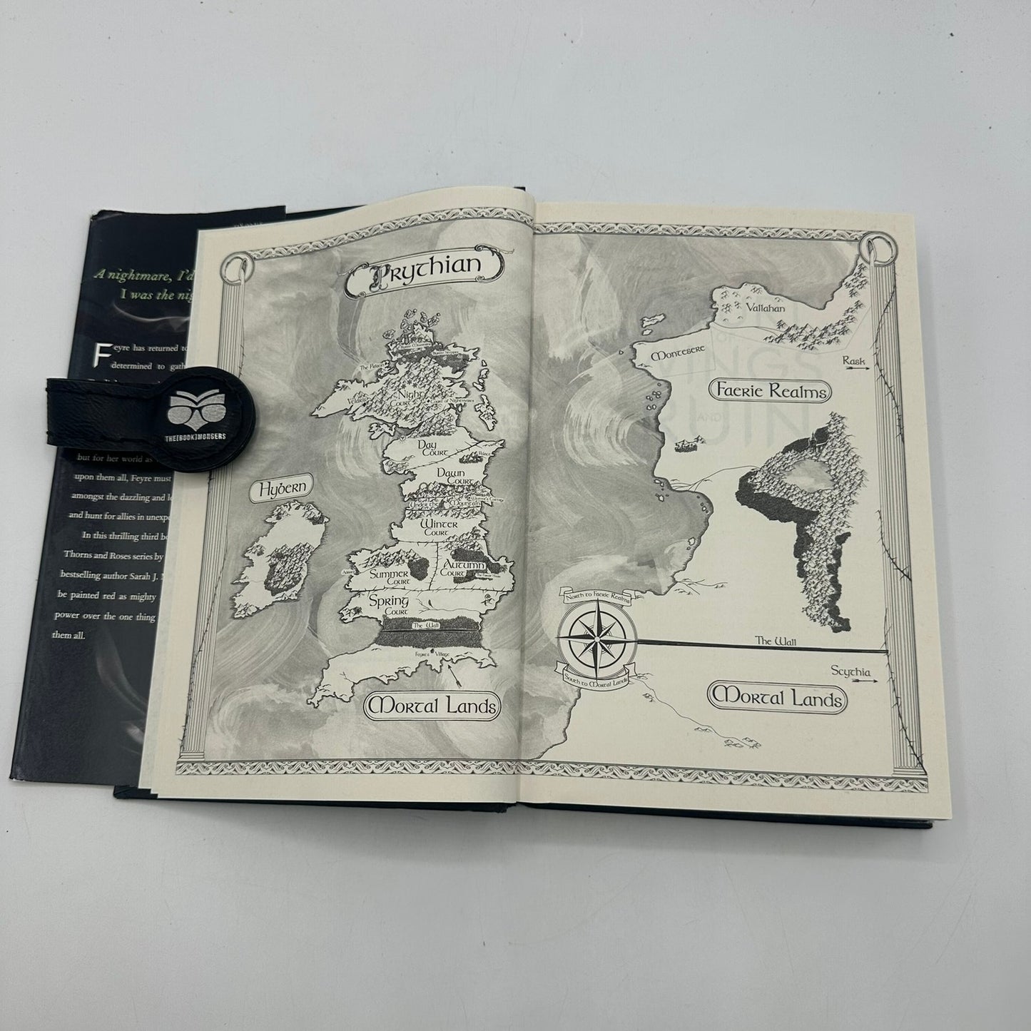 A Court of Wings and Ruin Sarah J Maas Indigo Exclusive Fan Art Fantasy OOP