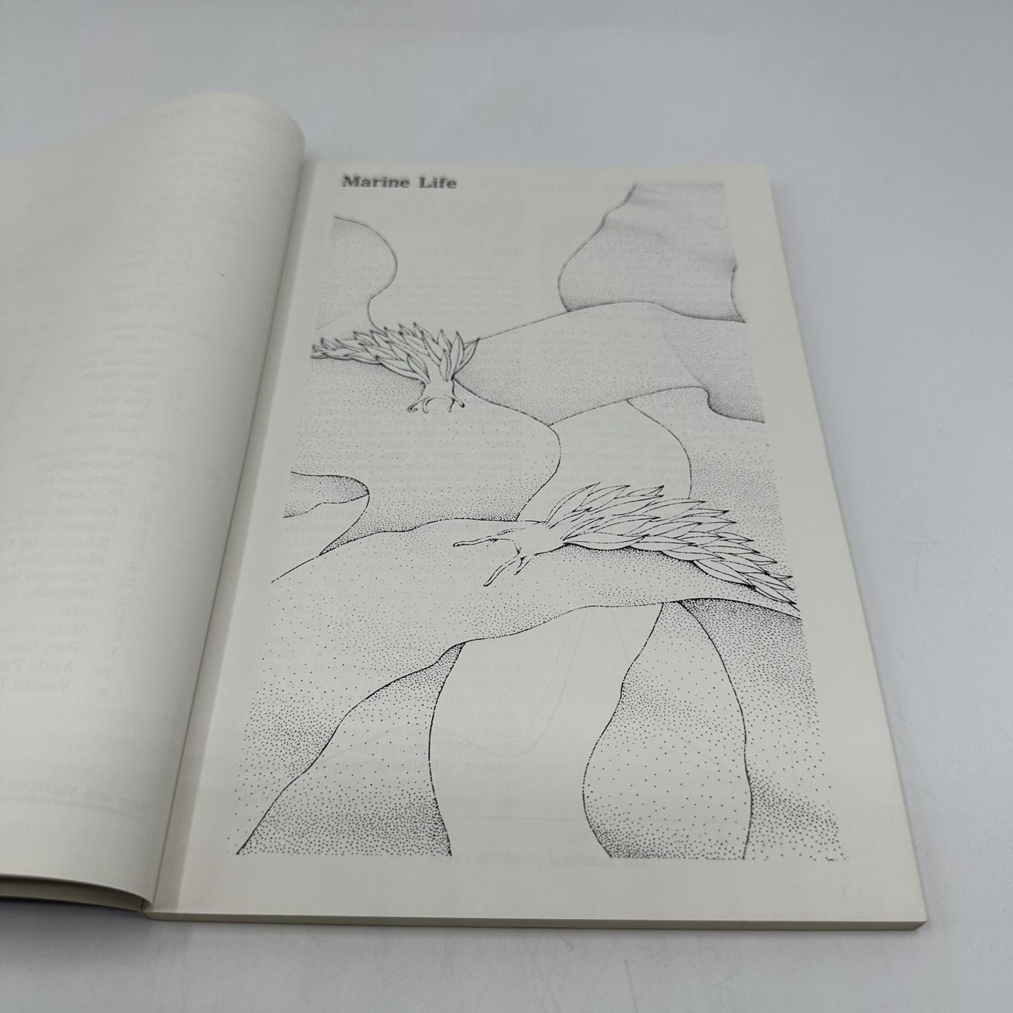 Beneath Puget Sound Peter Ward 1974 Third Printing Northwest Diving Guide